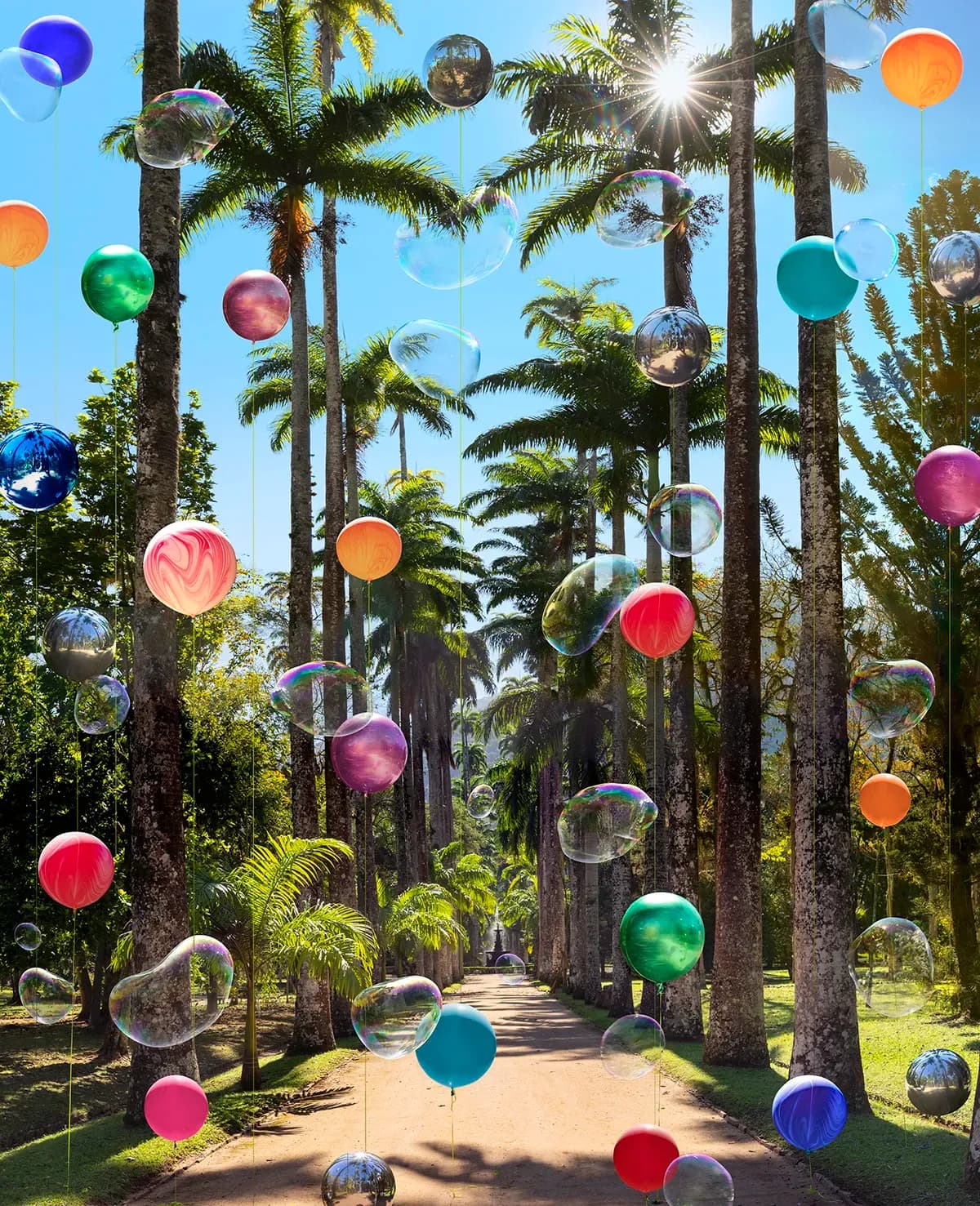 Flávia Junqueira — Jardim Botânico do Rio de Janeiro #5, 1808, 2021