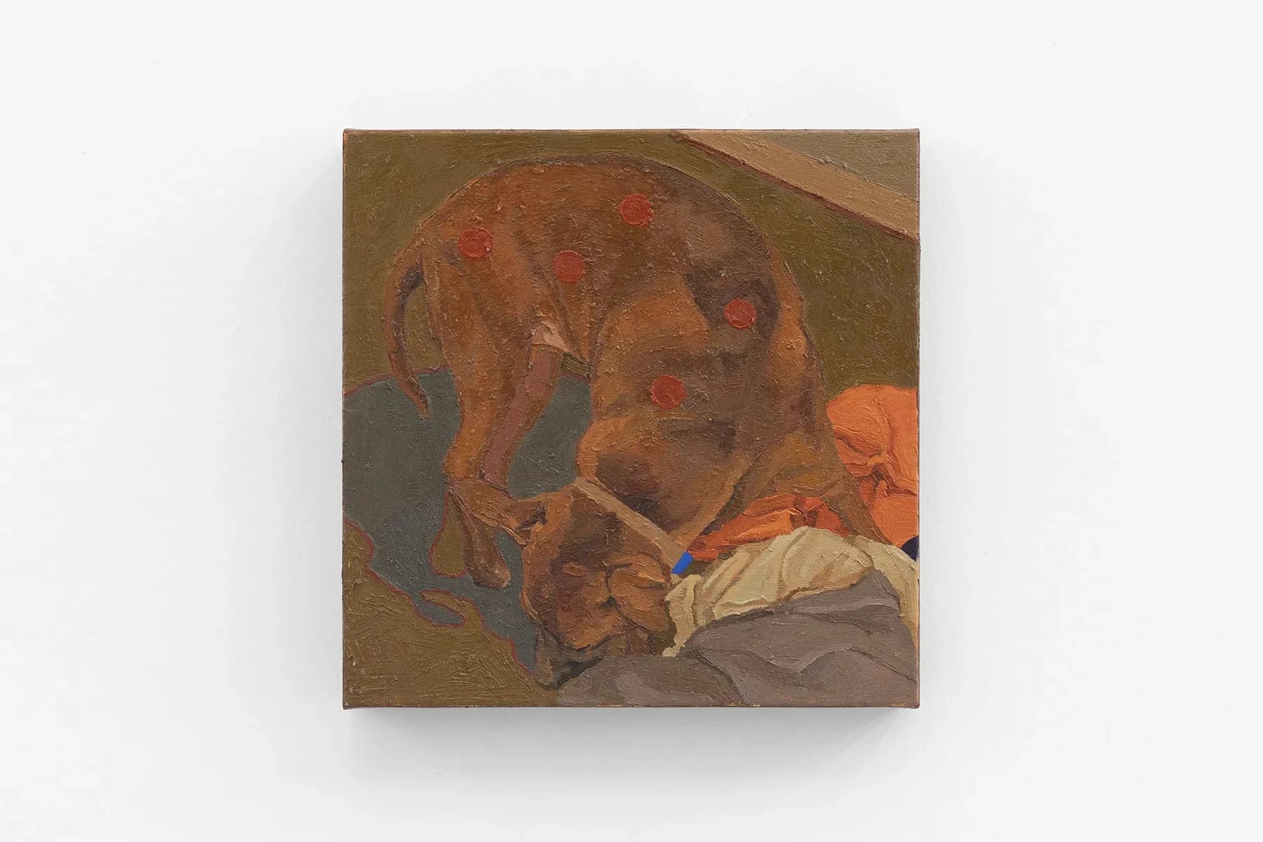 Ian Salamente — Cão para Vuillard, 2025