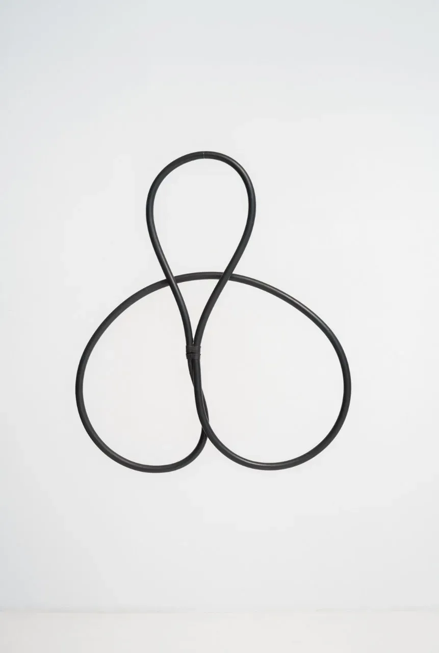 José Resende — Sem título, 1978
