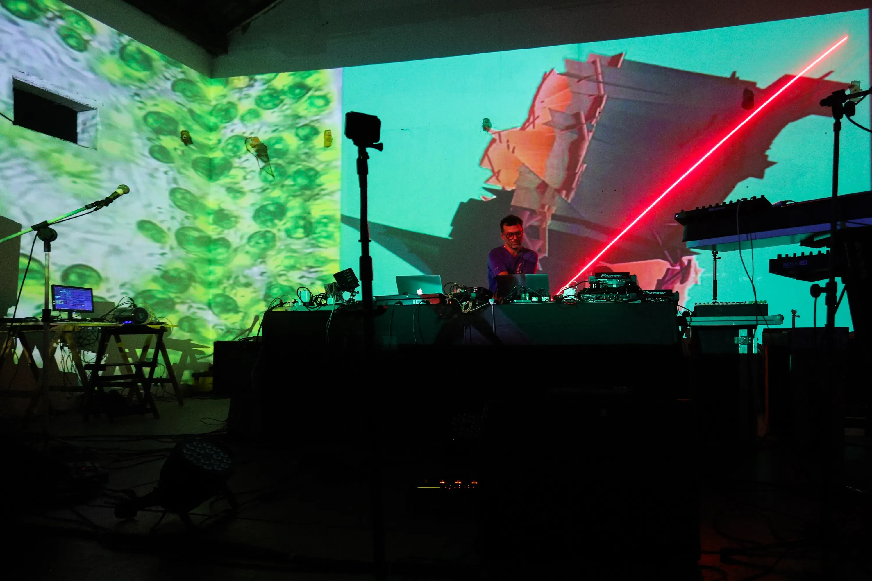 Fernando Velázquez — Outras Naturezas, 2017