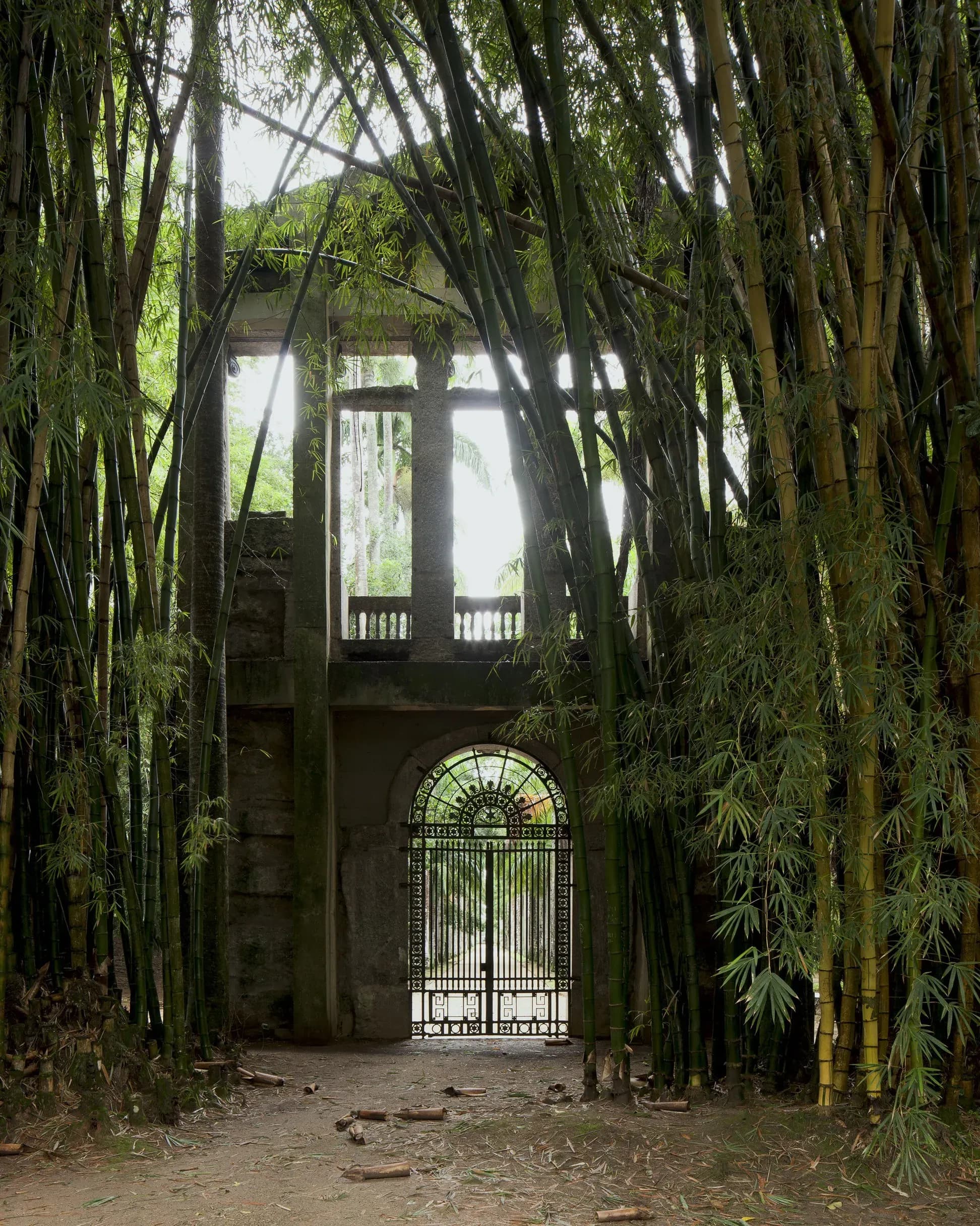 André Penteado — Portal do antigo prédio da Real Academia de Belas Artes, 2017