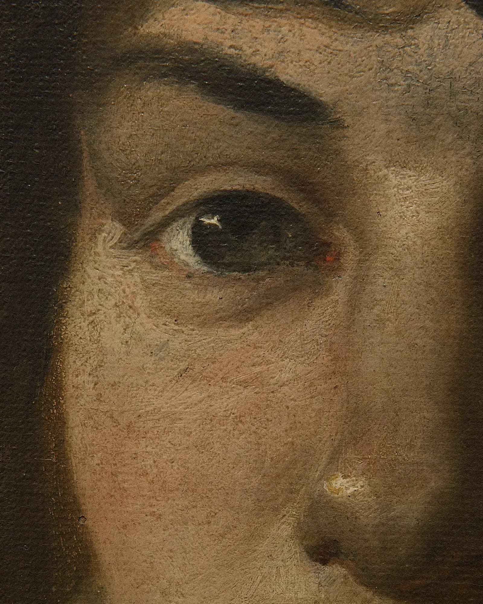 André Penteado — Nicolas Antoine Taunay, retrato do olho do autor, o pintor Félix Émile Taunay, 2017