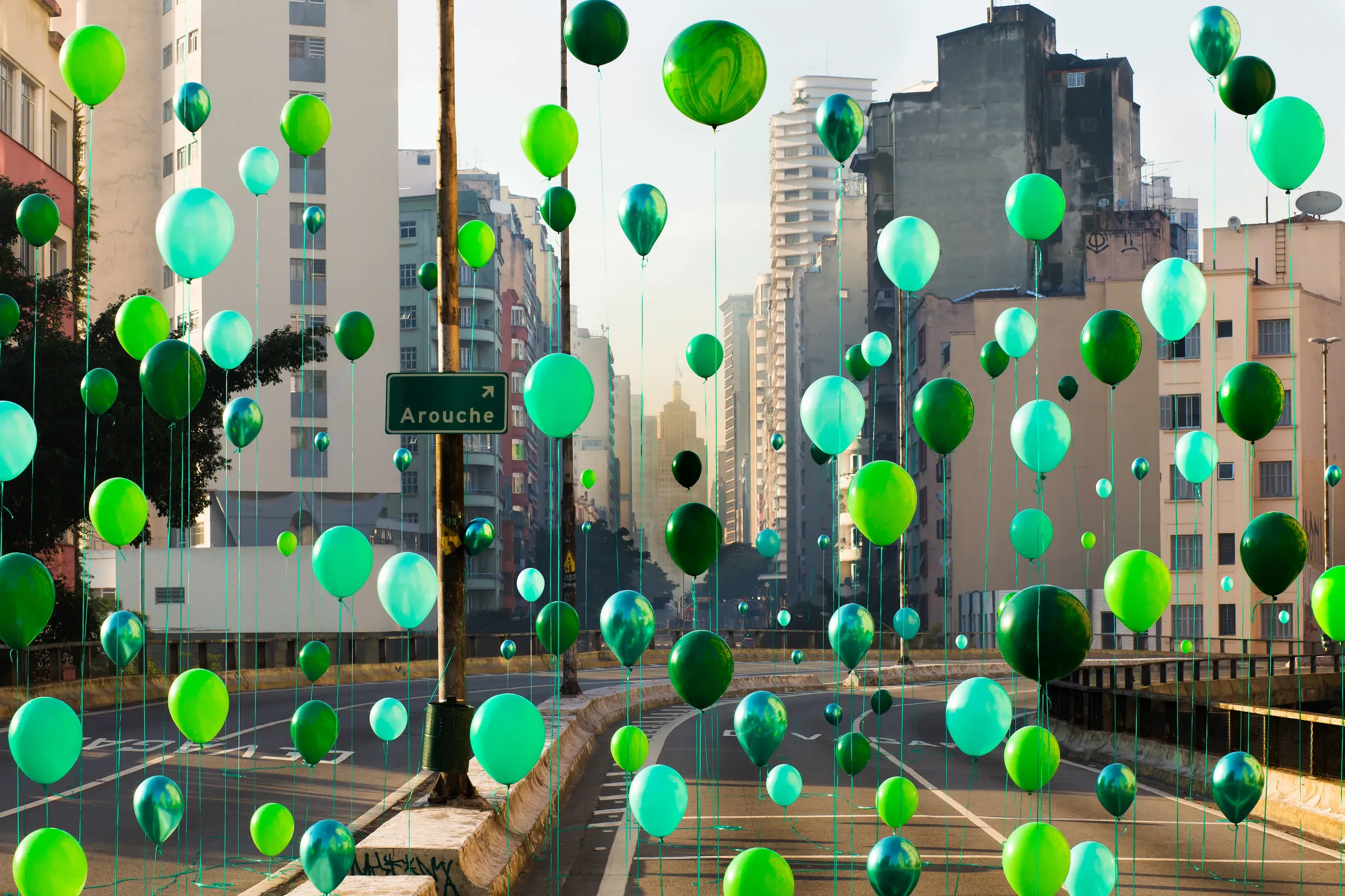 Flávia Junqueira — Minhocão, 1971, 2019