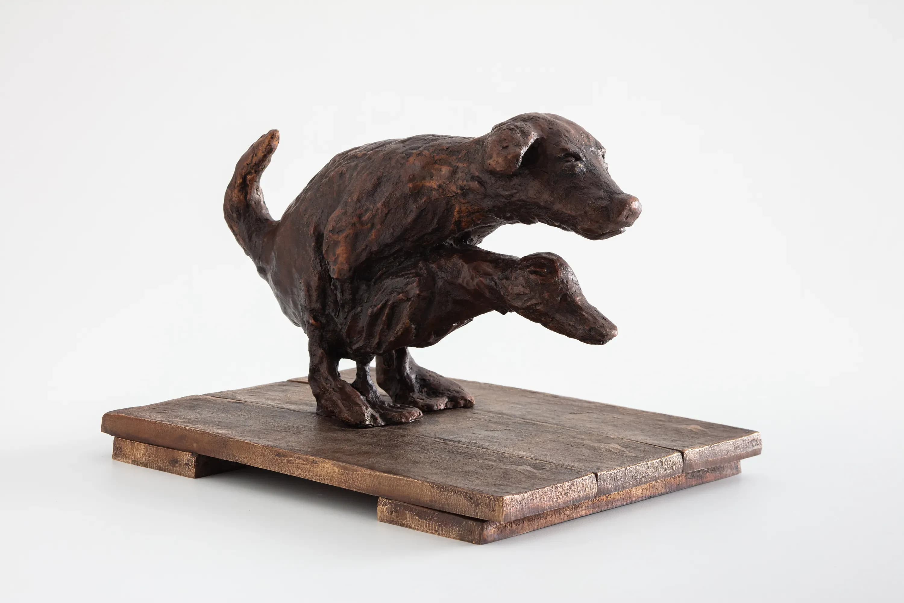 Camila Soato — Escultura de bosta I, 2020