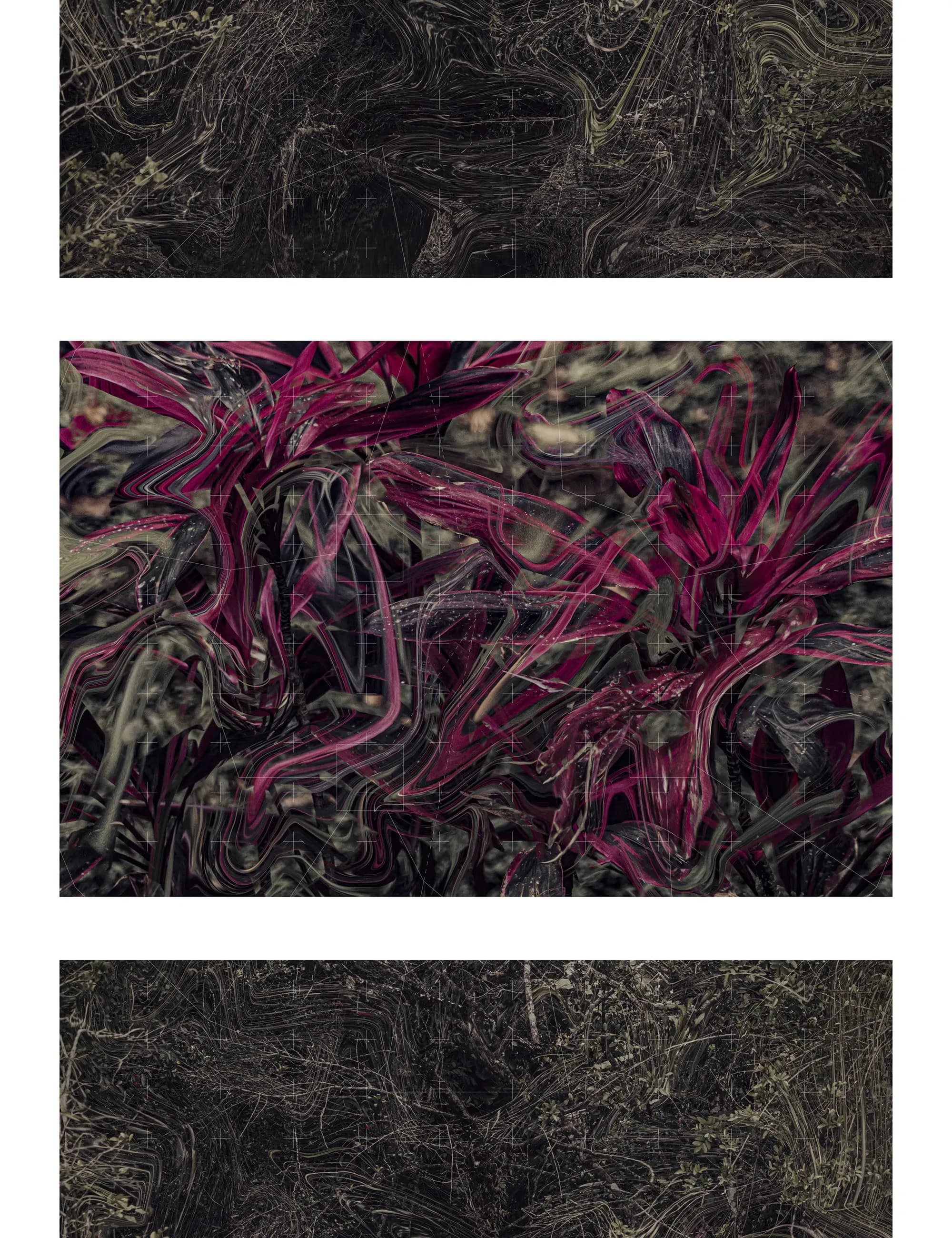 Fernando Velázquez — da série Reconhecimento de padrões/outras naturezas, opus 03, 2022