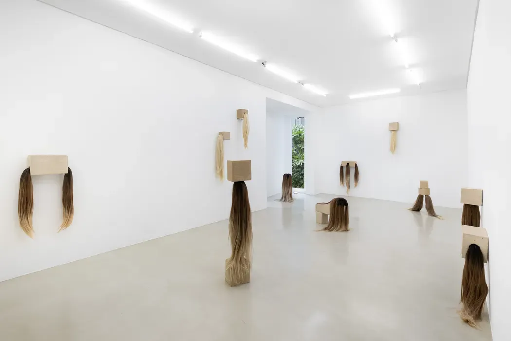 O cabelo na arte contemporânea