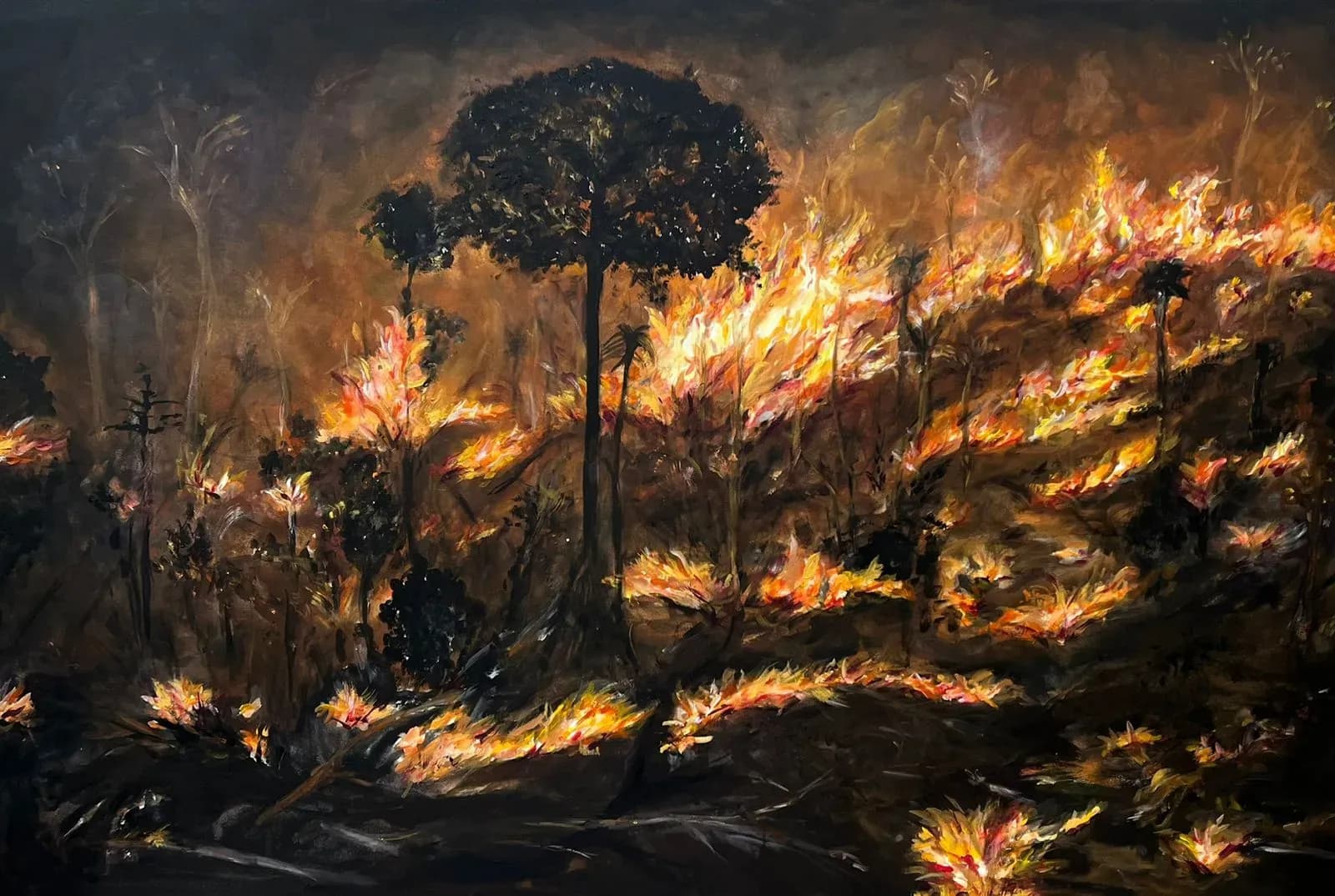 Hugo Fortes — Brasa Brasil, 2023