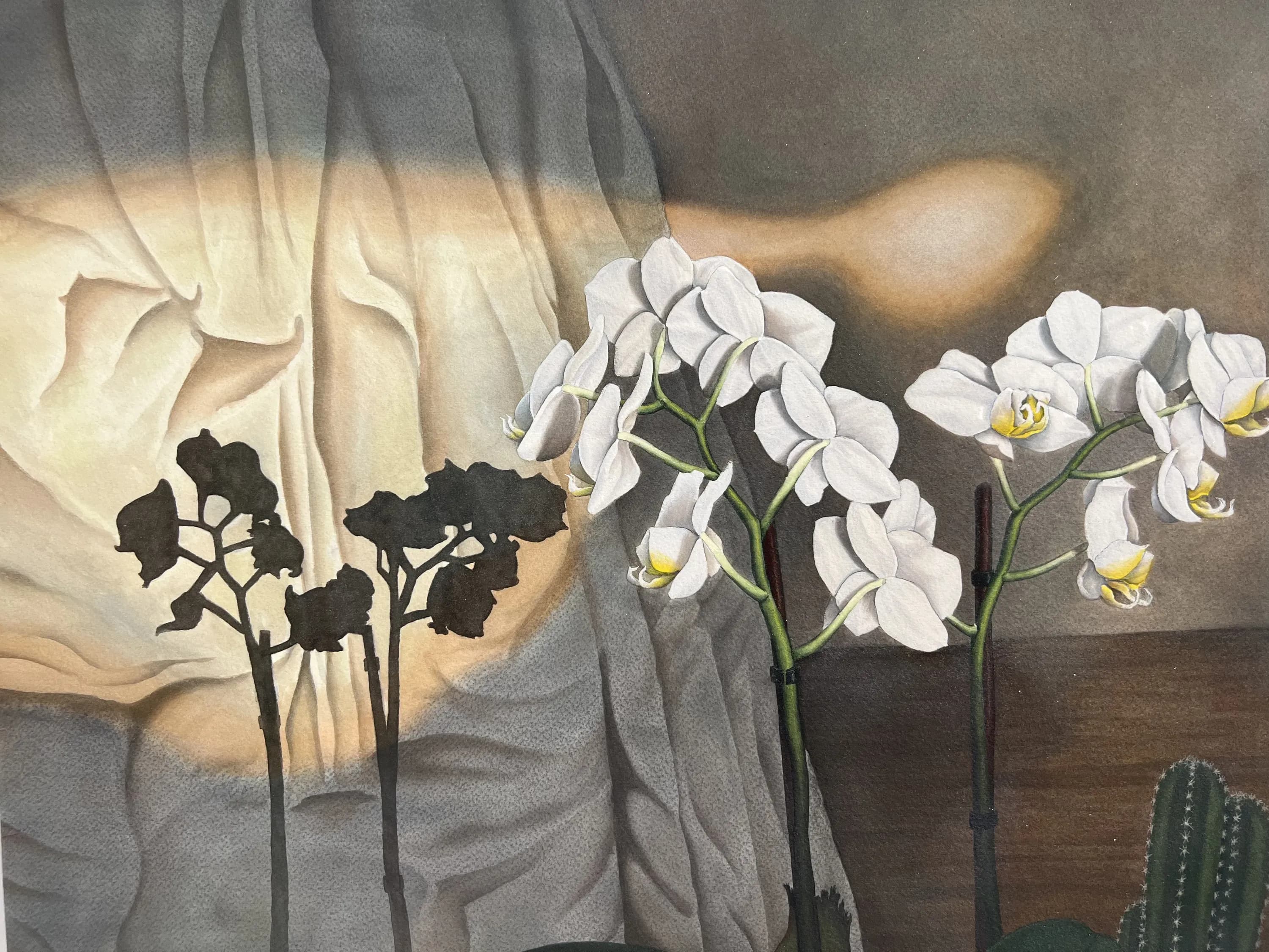 Mauro Piva — Orquídeas e a Luz, 2023