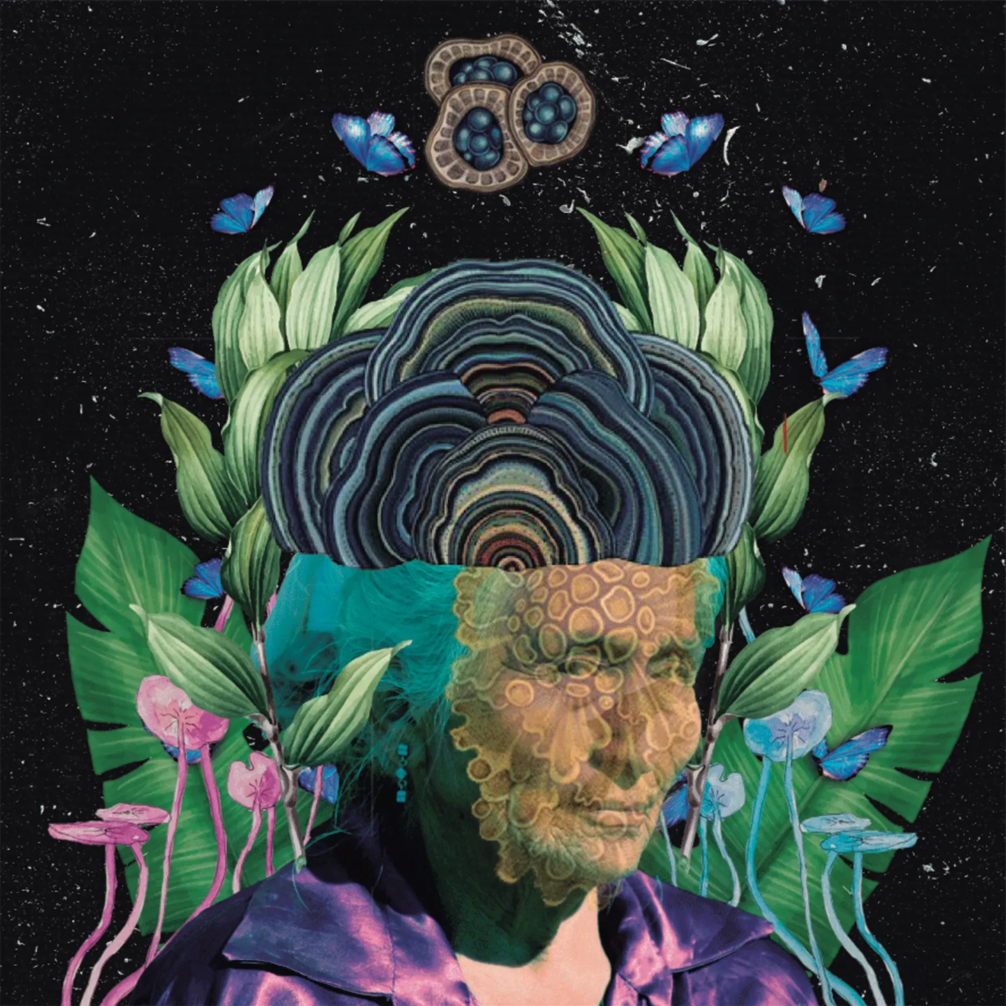 Moara Tupimamba — Anciã, 2023