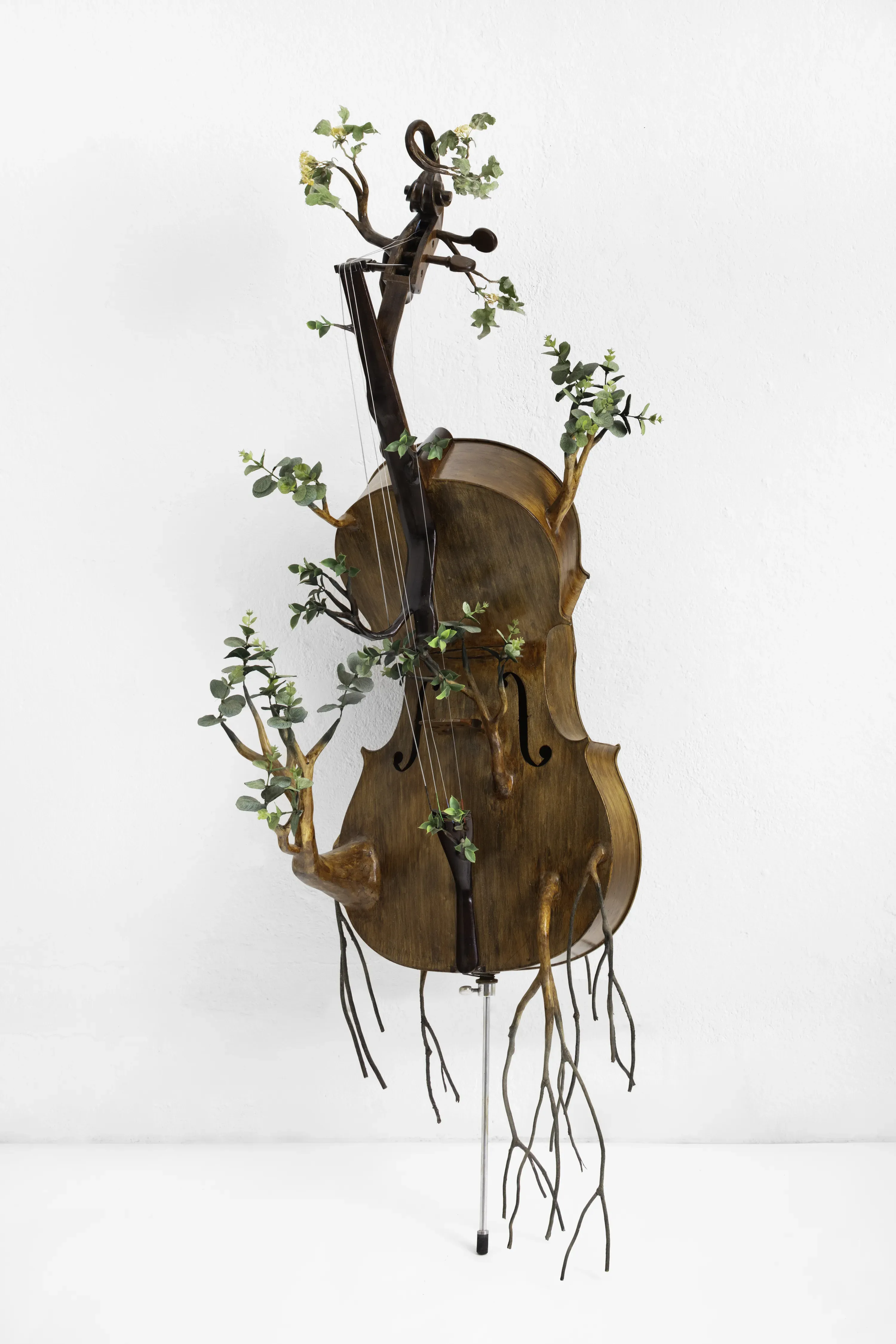 Camille Kachani — Violoncelo melancólico, 2022