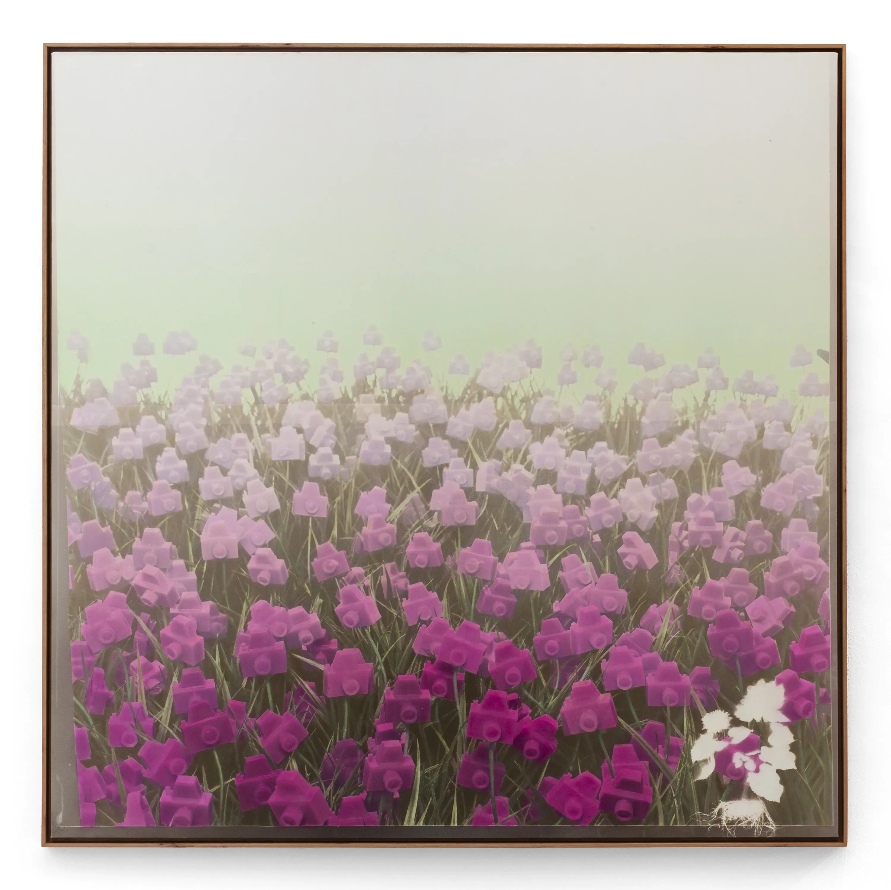 André Feliciano — Flores para Vilém Flusser 1, 2023