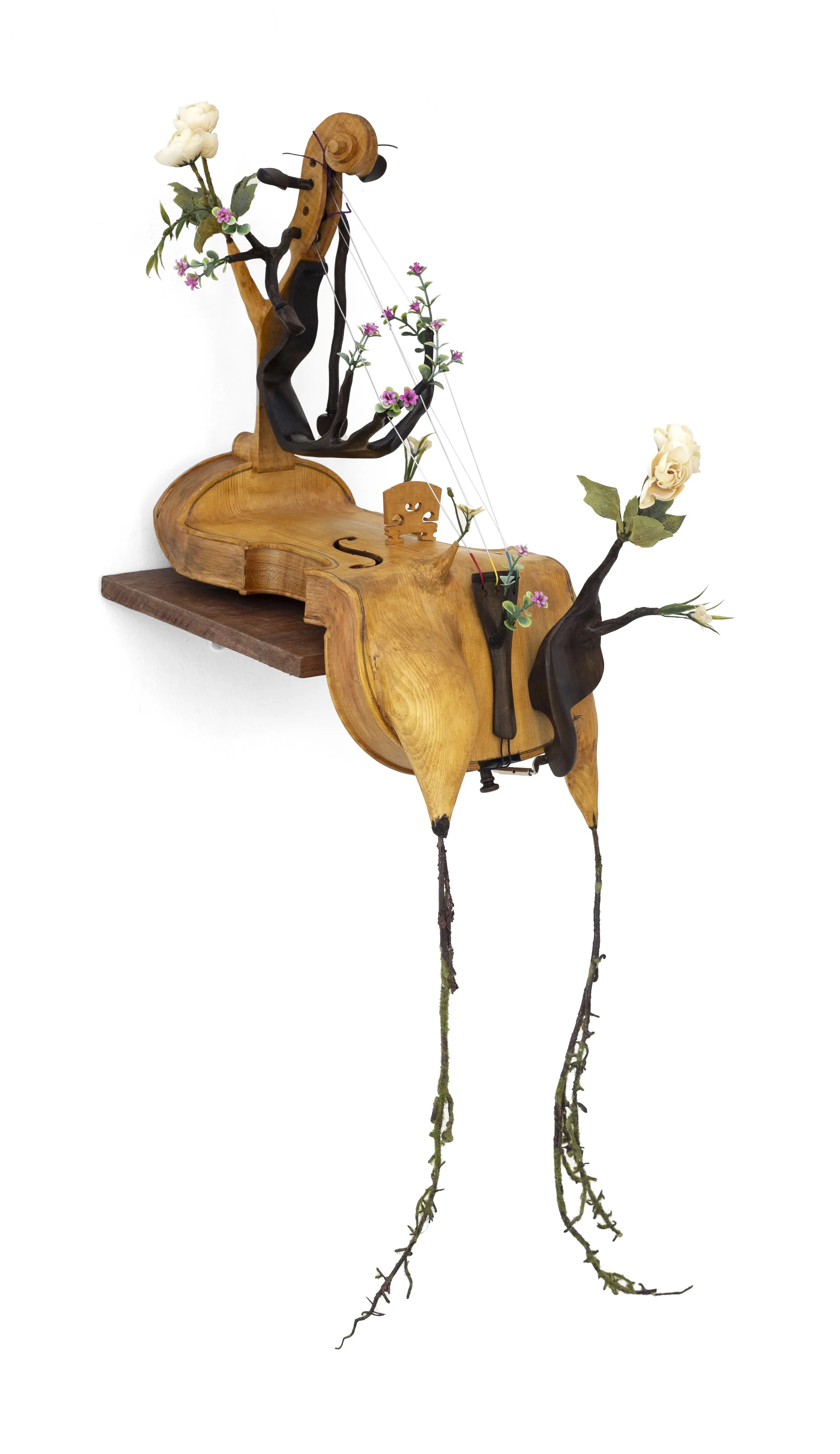 Camille Kachani — Violino mole, 2023