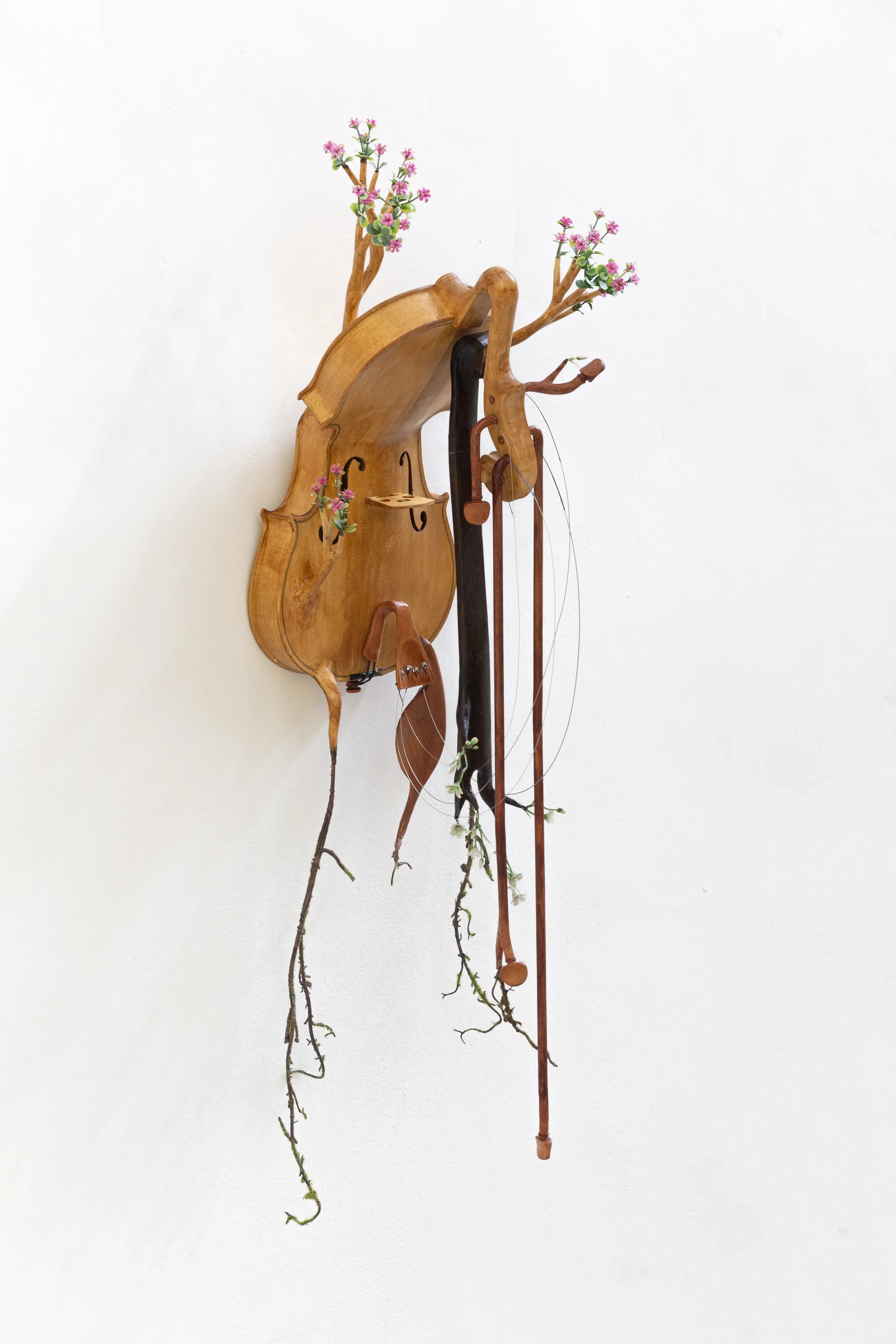 Camille Kachani — Violino selvático, 2023