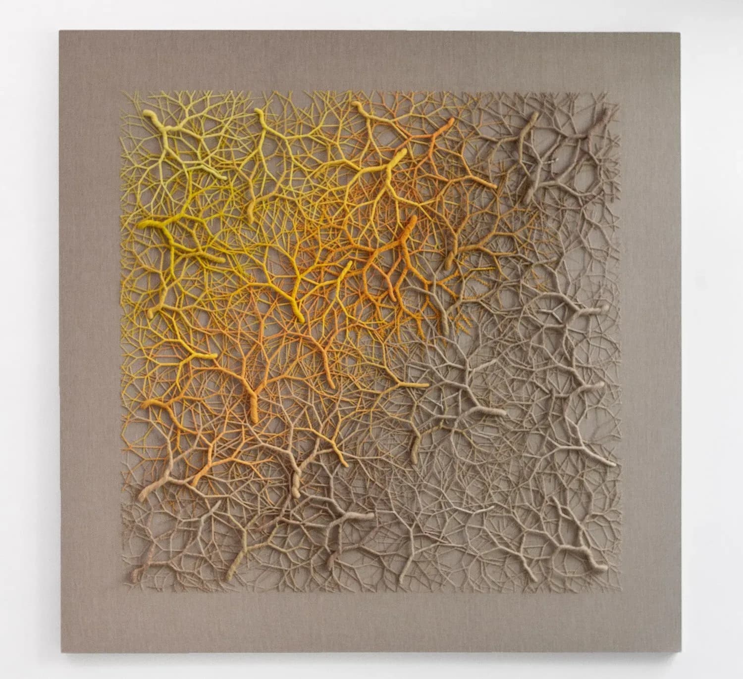 Janaina Mello Landini — Ciclotrama 339 (cluster), 2024