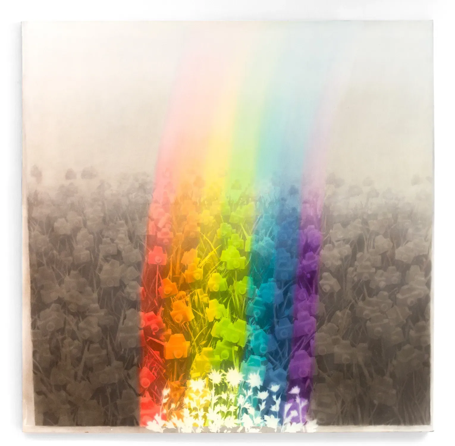 André Feliciano — Flores para Vilém Flusser 2, 2024