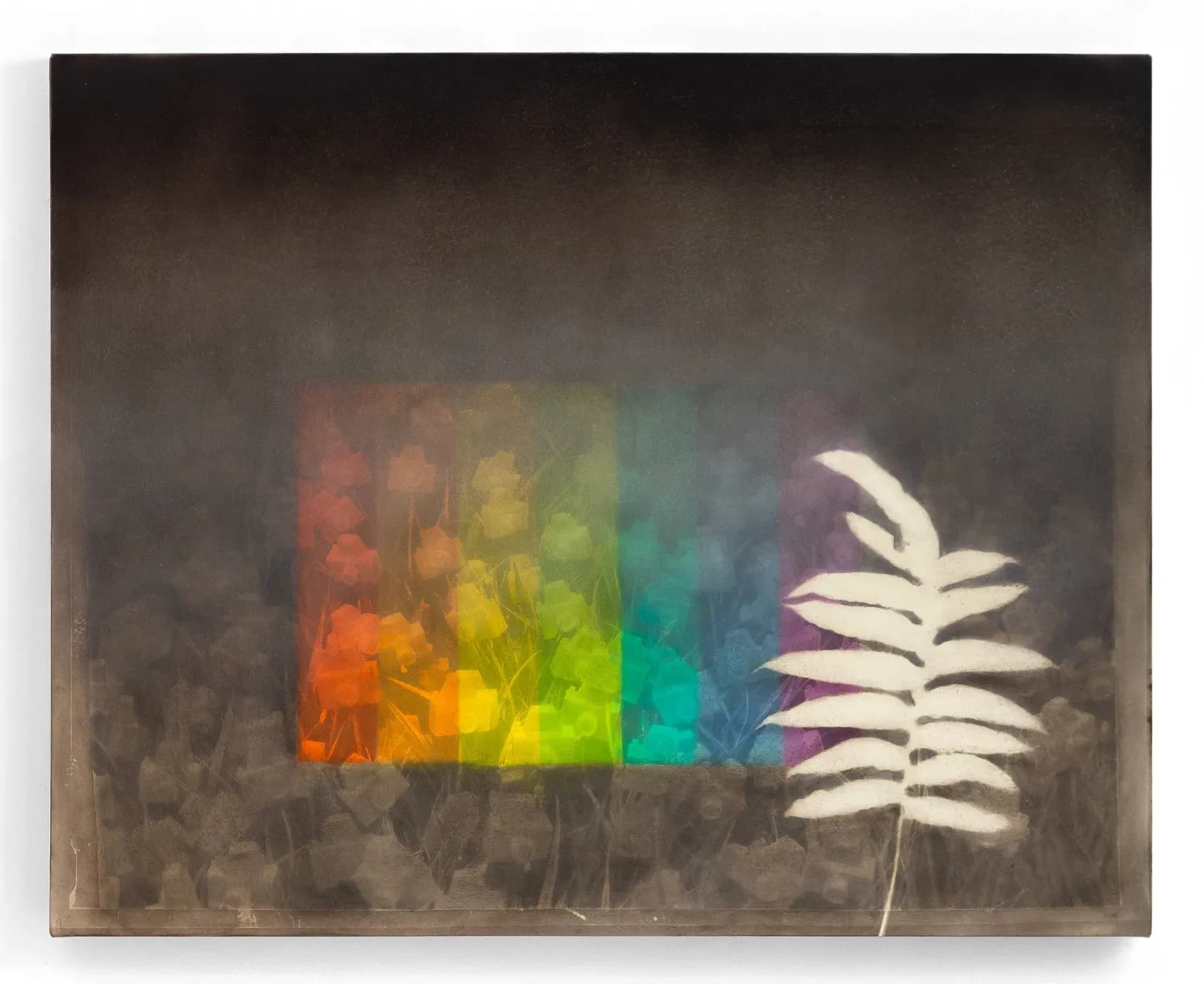 André Feliciano — Flores para Vilém Flusser 4, 2024