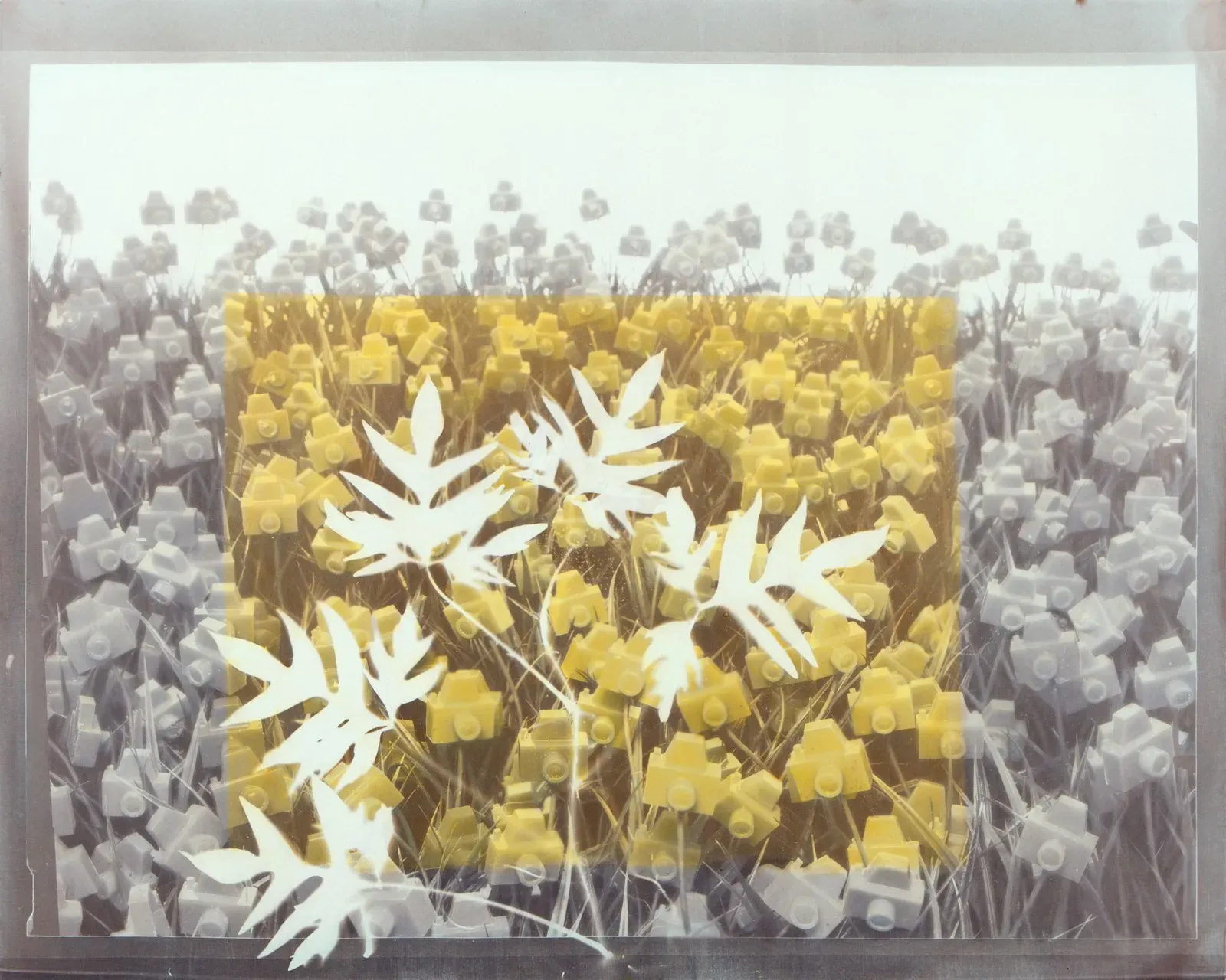 André Feliciano — Flores para Vilém Flusser 6, 2023