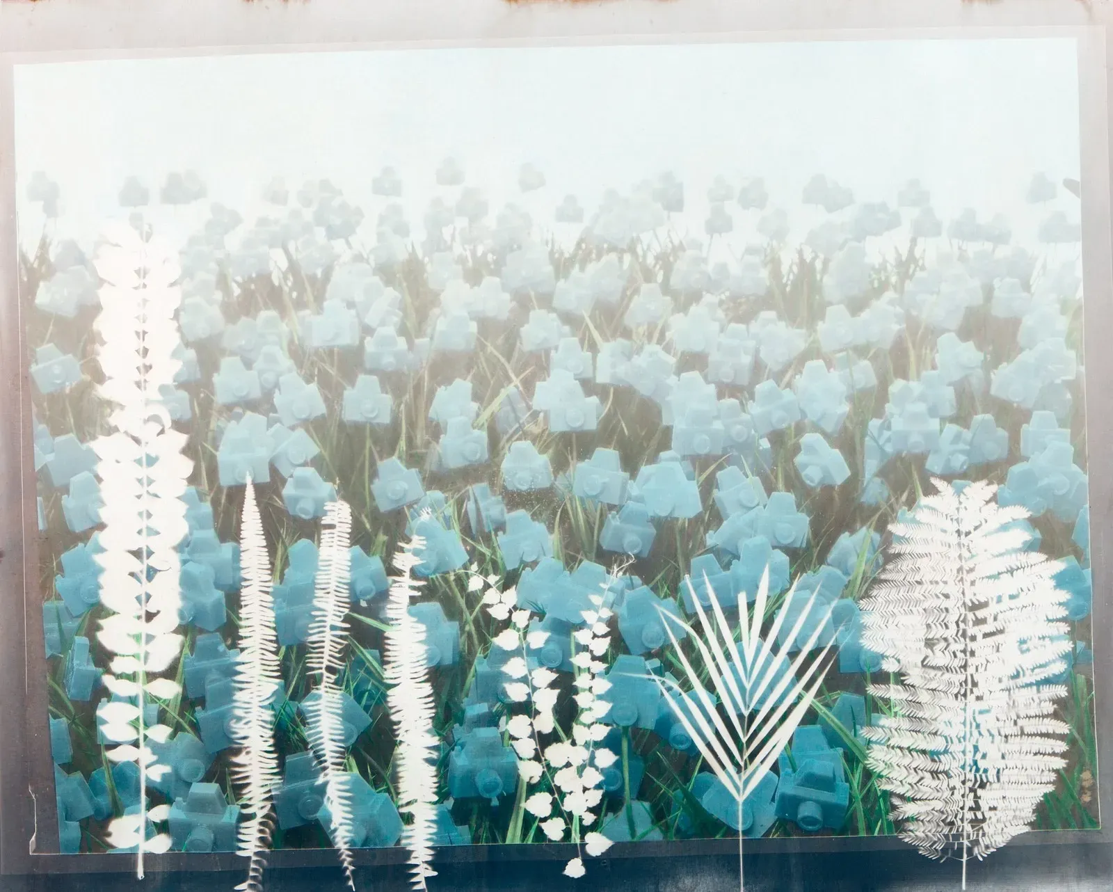 André Feliciano — Flores para Vilém Flusser 11, 2023