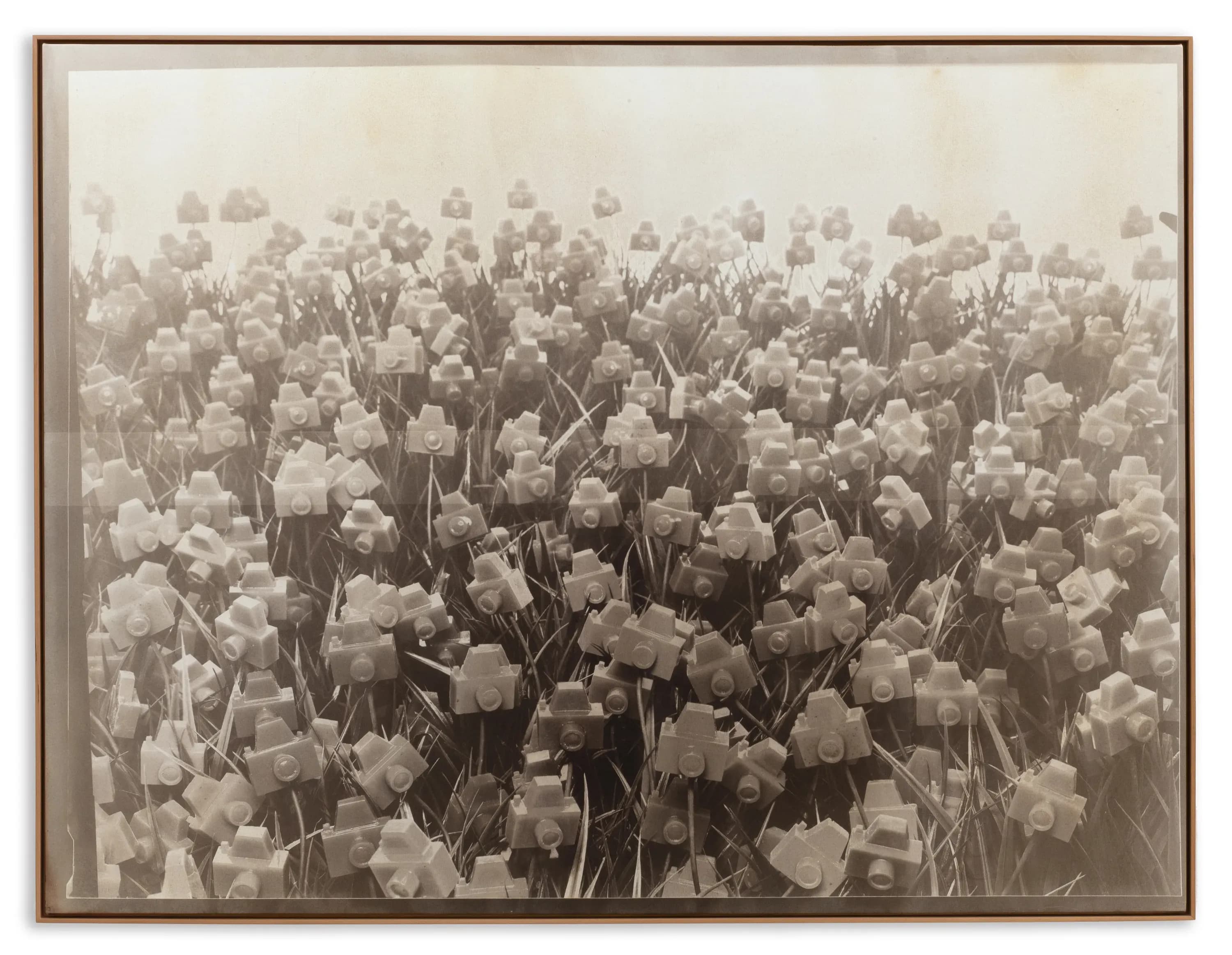 André Feliciano — Flores para Vilém Flusser 14, 2024