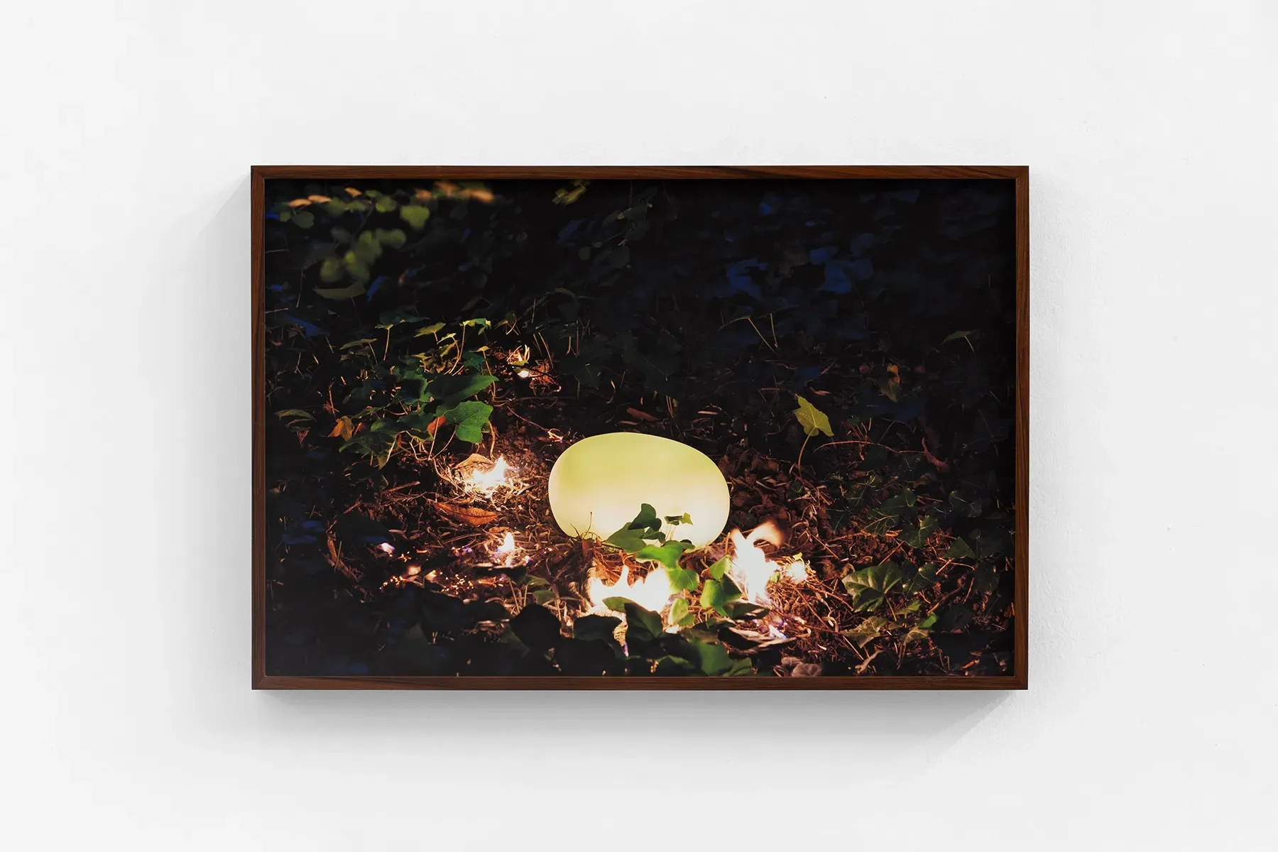 Rodrigo Braga — Presságio (Fulgor #03), 2025