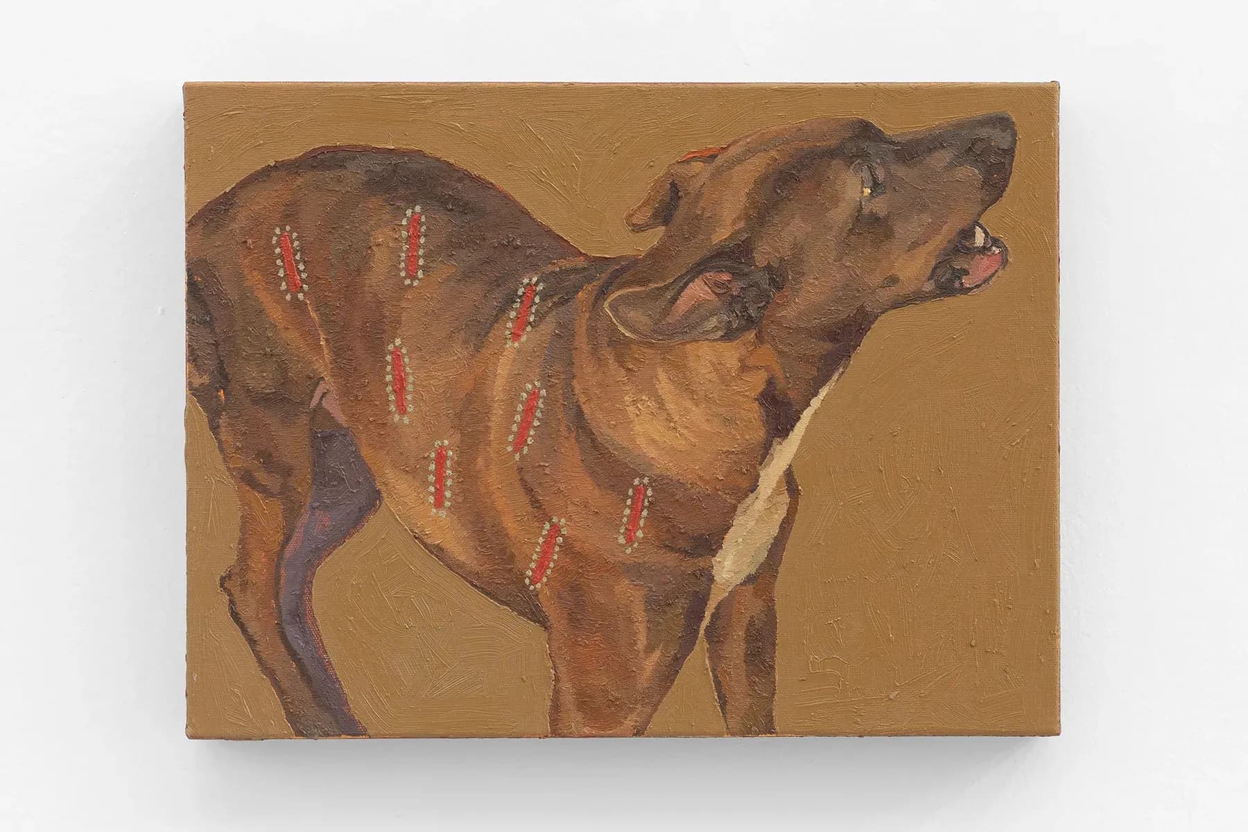 Ian Salamente — Cão para Eudócio, 2025
