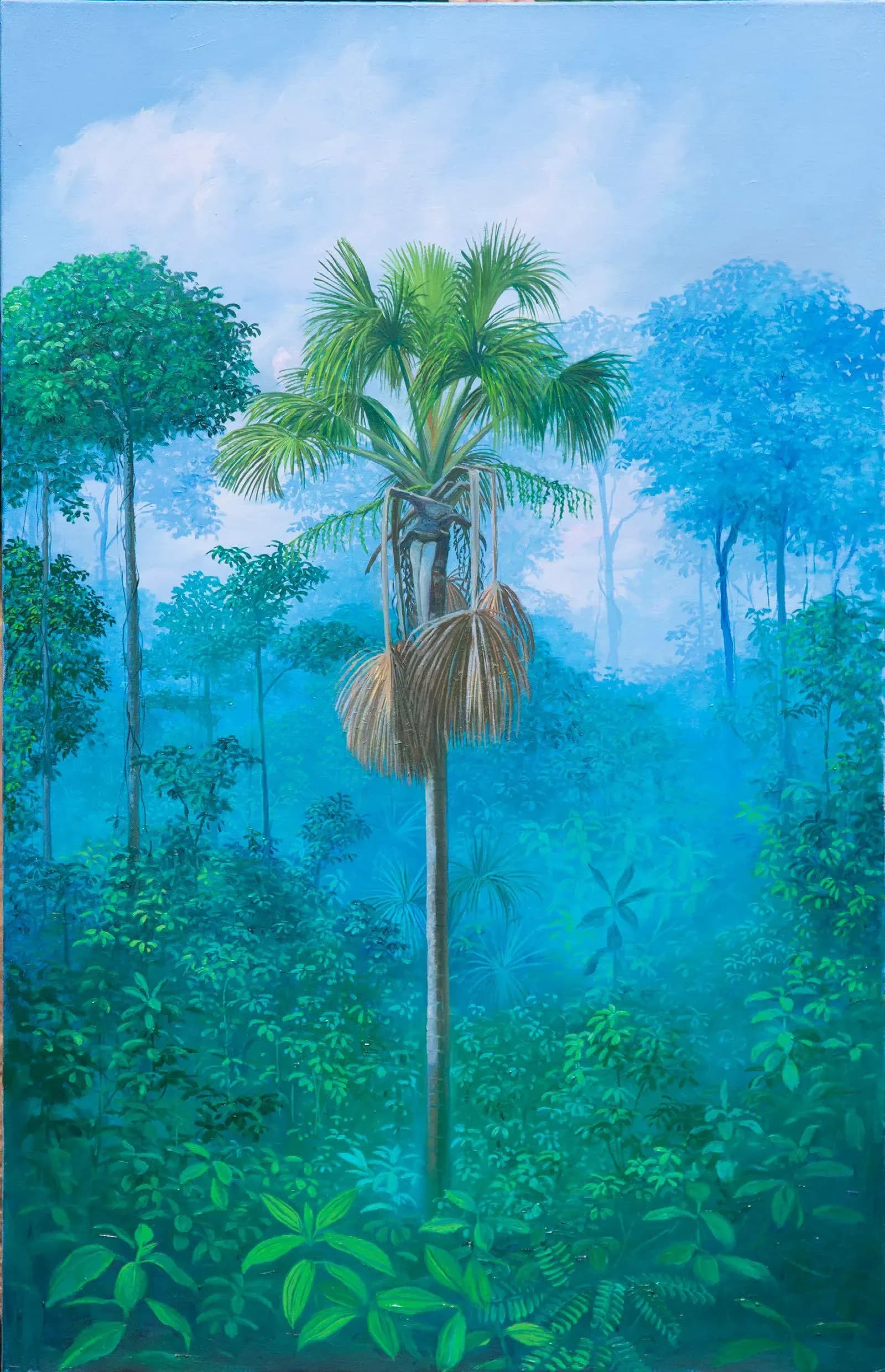 Miguel Penha Chiquitano — Buritizinho, 2024