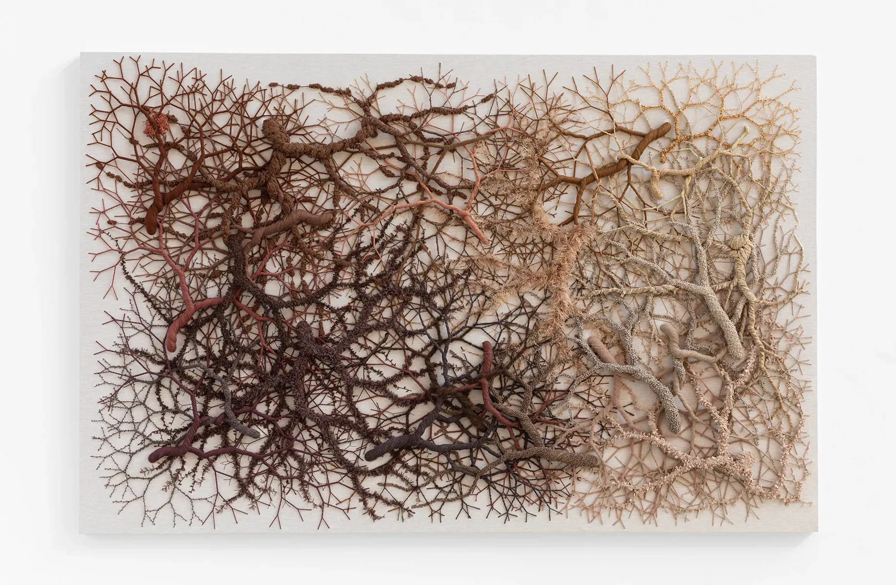 Janaina Mello Landini — Ciclotrama 394 (fungi), 2025