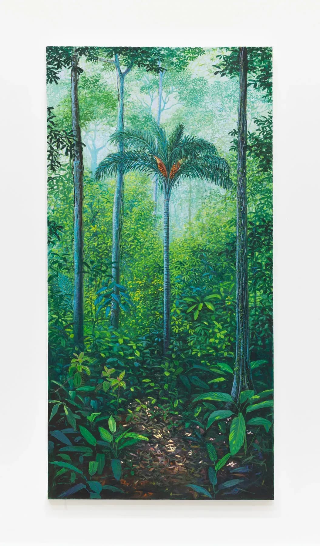 Miguel Penha Chiquitano — Palmeira tucun, 2025