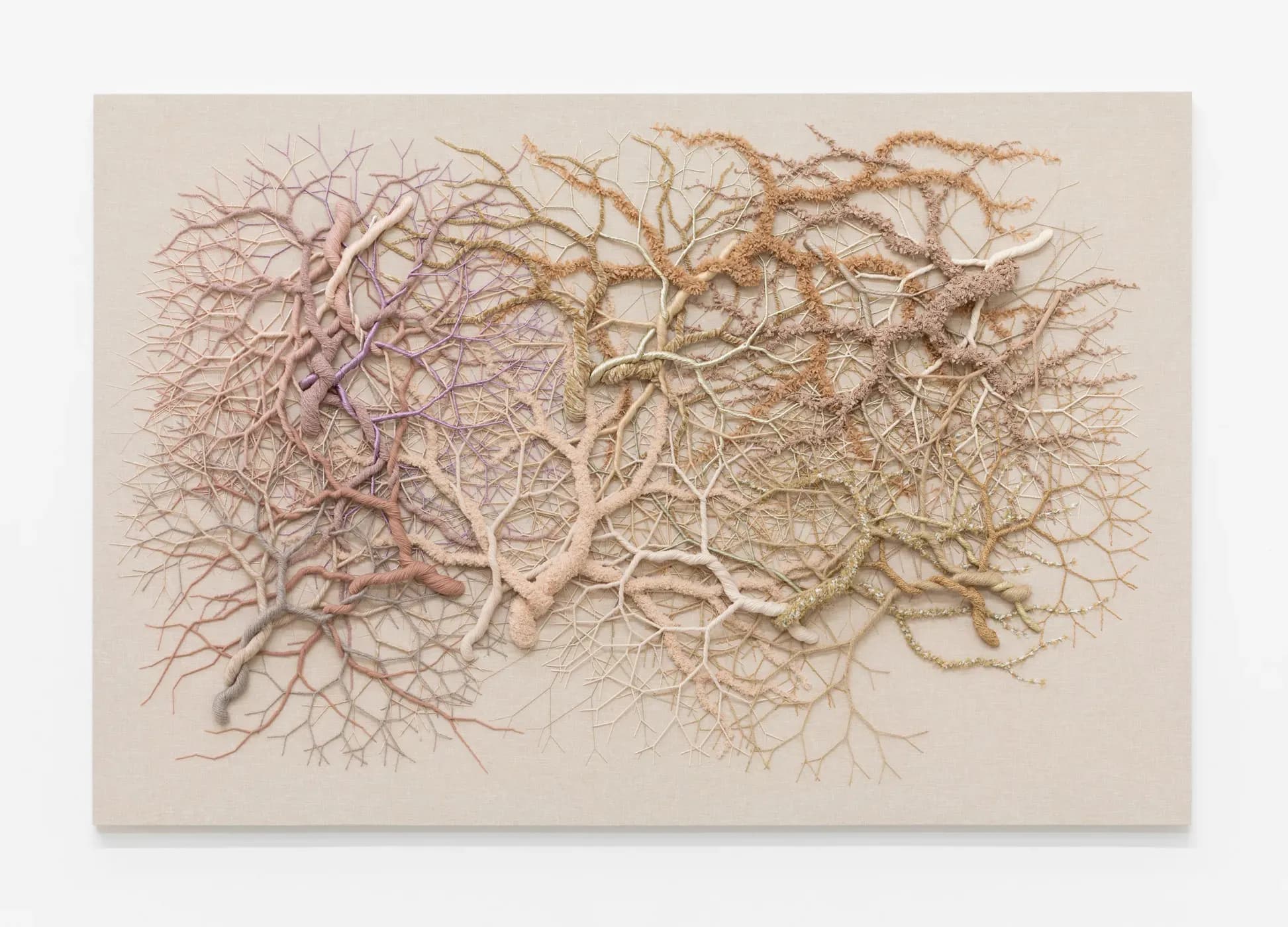 Janaina Mello Landini — Ciclotrama 395 (fungi), 2025