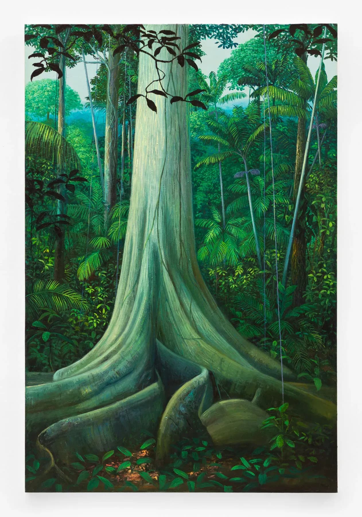 Miguel Penha Chiquitano — Samaúma e Apuí, 2025