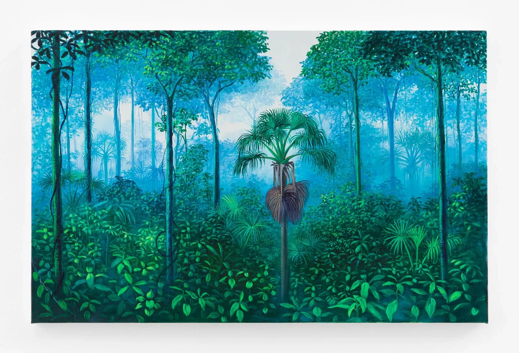 Miguel Penha Chiquitano — Buriti, 2025