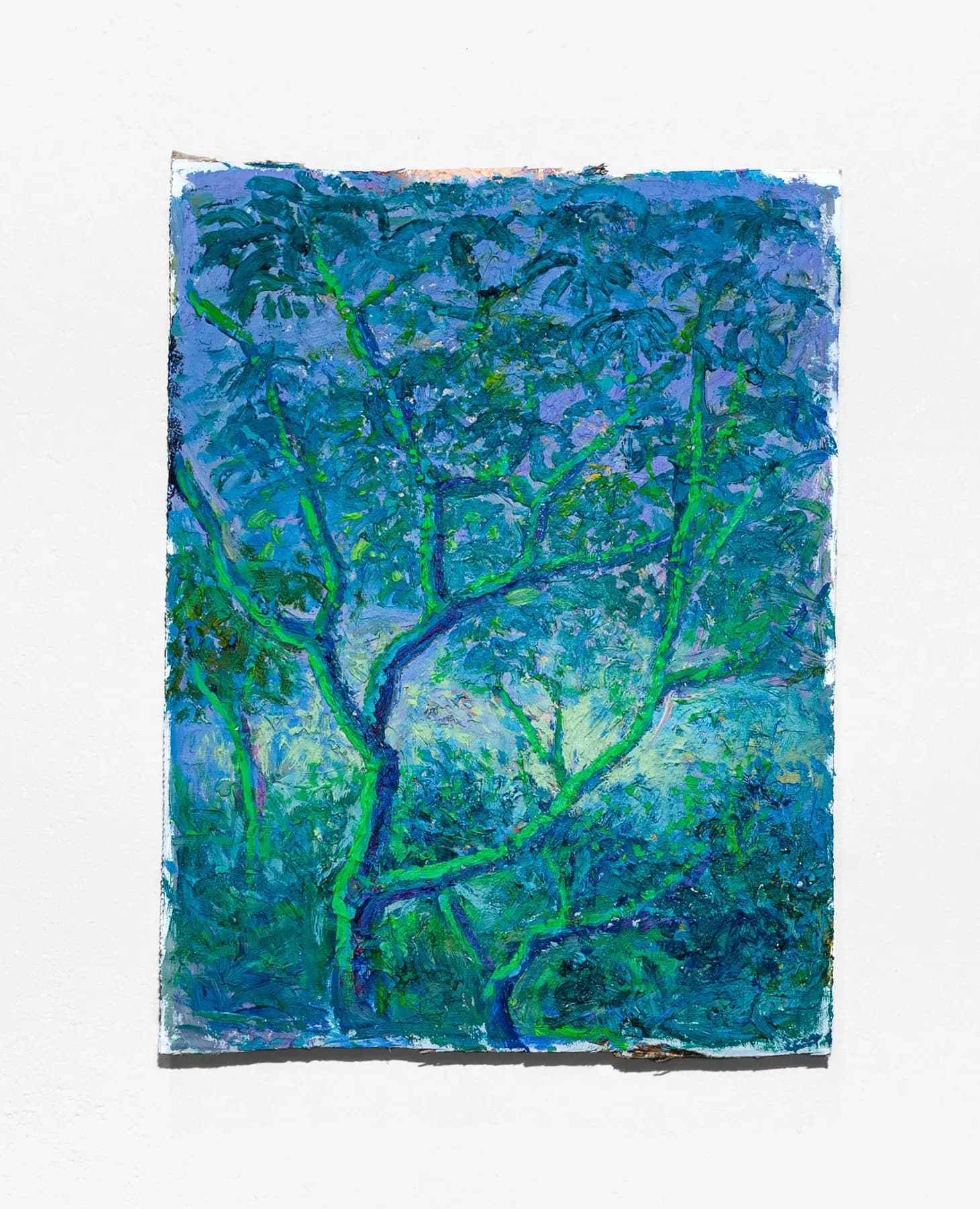 Miguel Penha Chiquitano — Cerrado 2, 2025