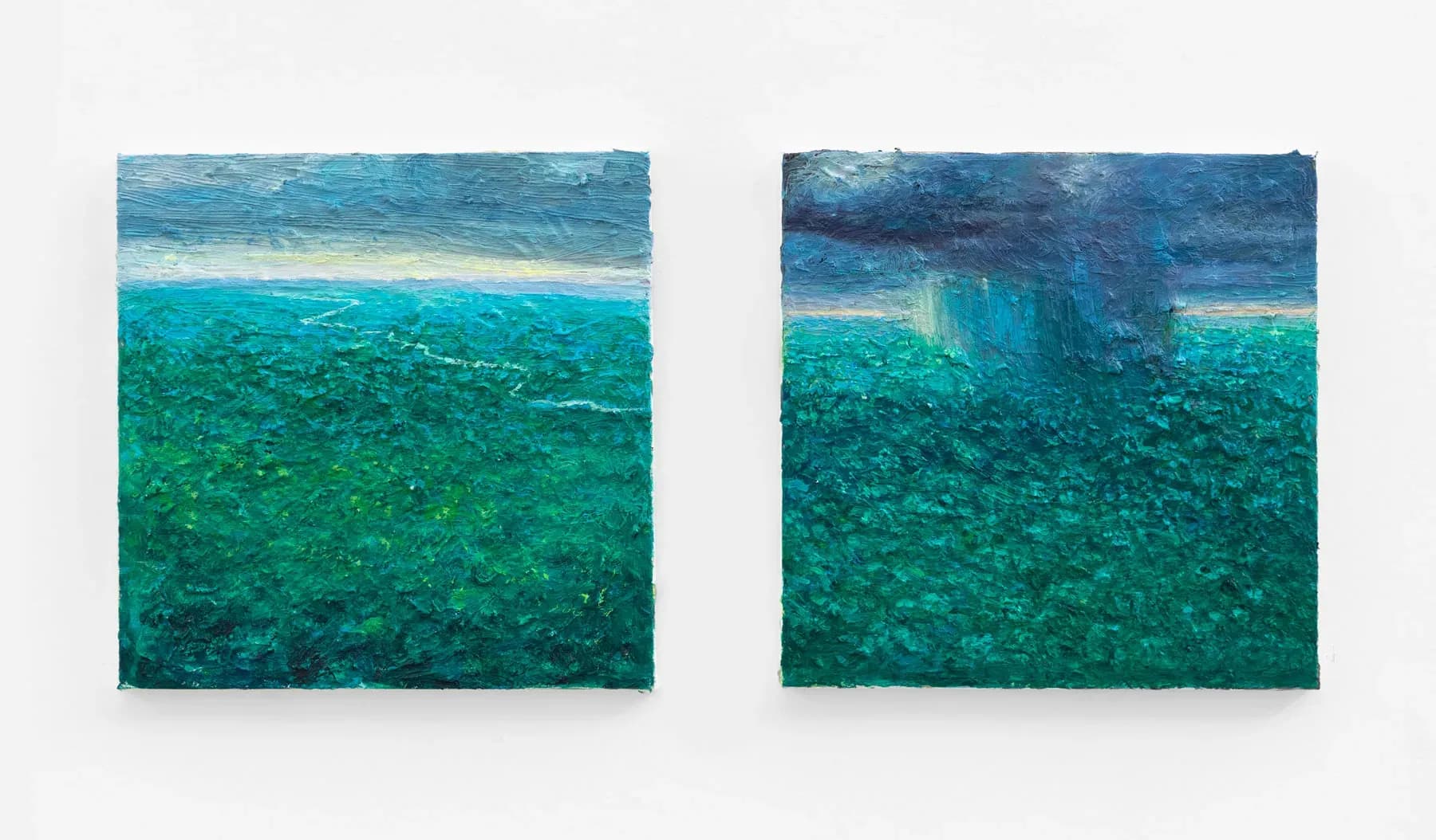 Miguel Penha Chiquitano — Horizonte e chuva, 2025