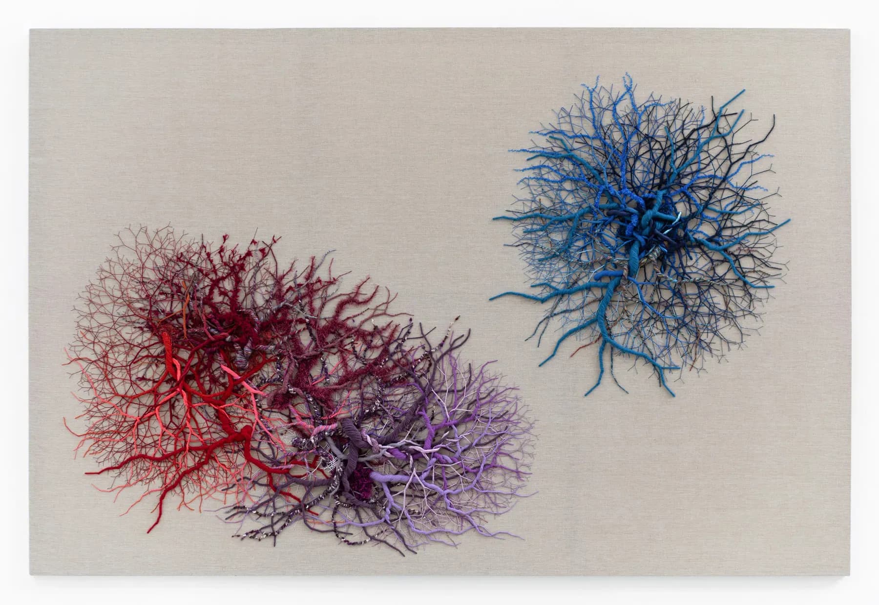 Janaina Mello Landini — Ciclotrama 404 (fungi), 2026