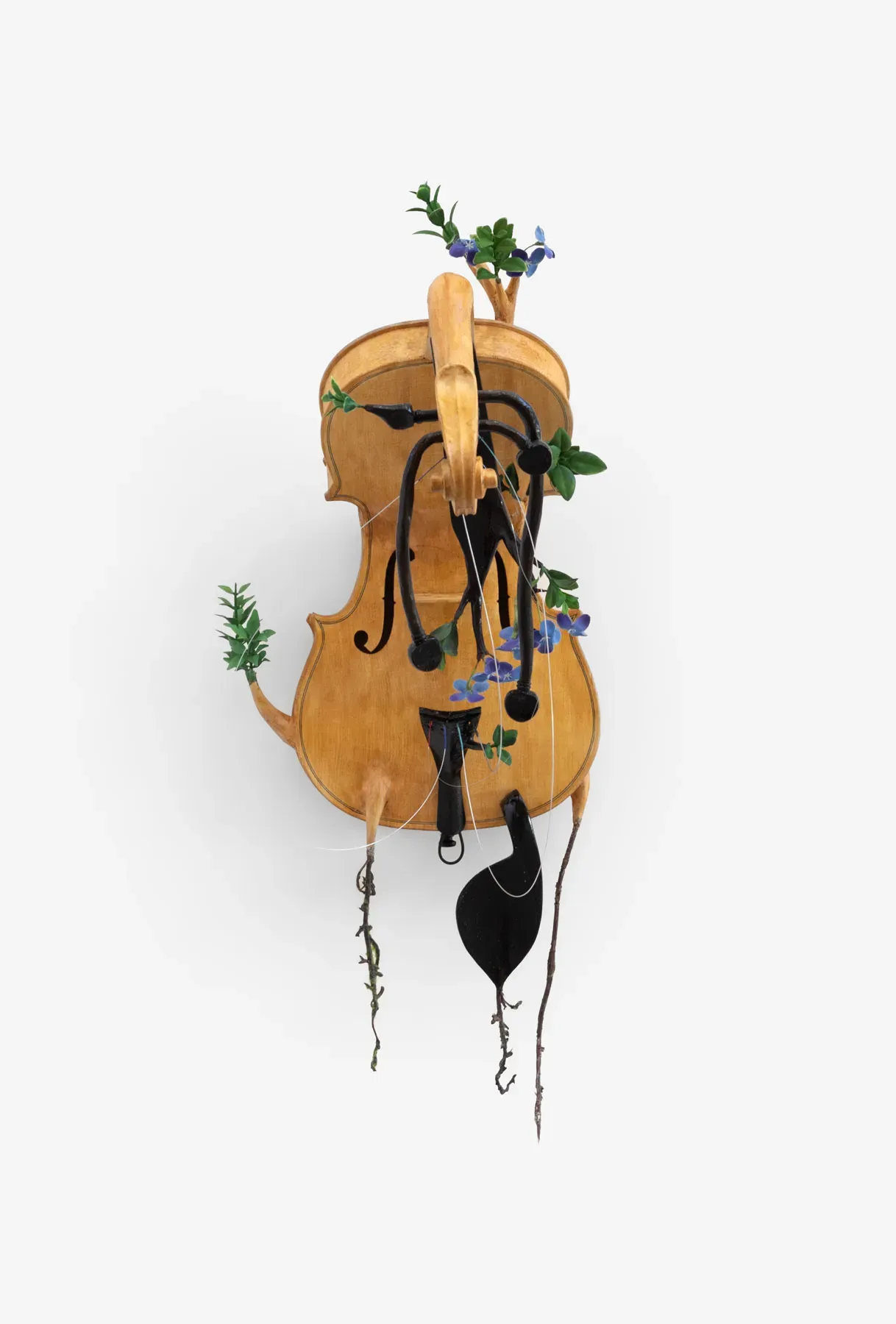 Camille Kachani — Violino adormecido, 2026