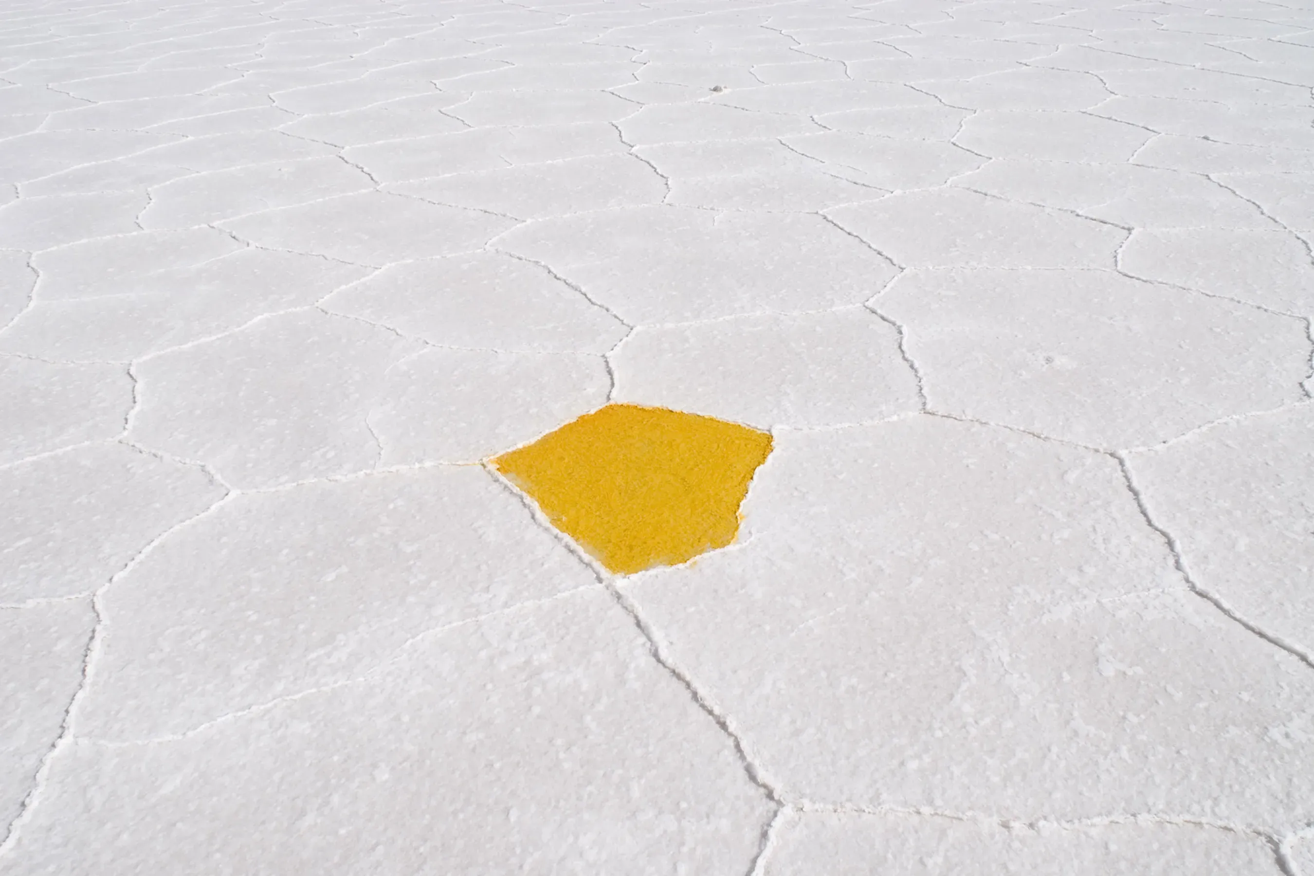João Castilho — Tempero, 2009