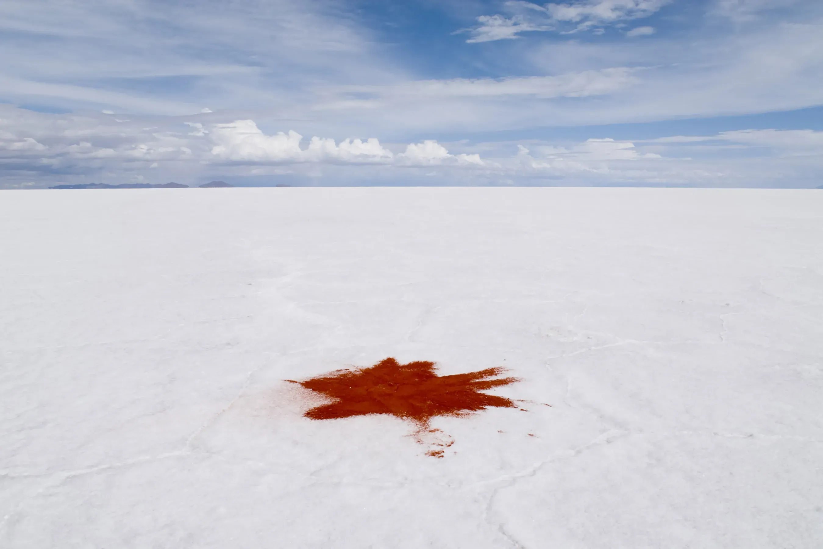 João Castilho — Tempero, 2009