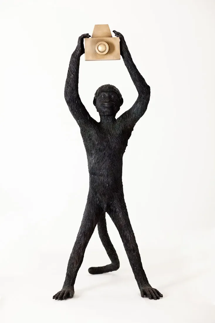 André Feliciano — Macaco fotográfico, 2012