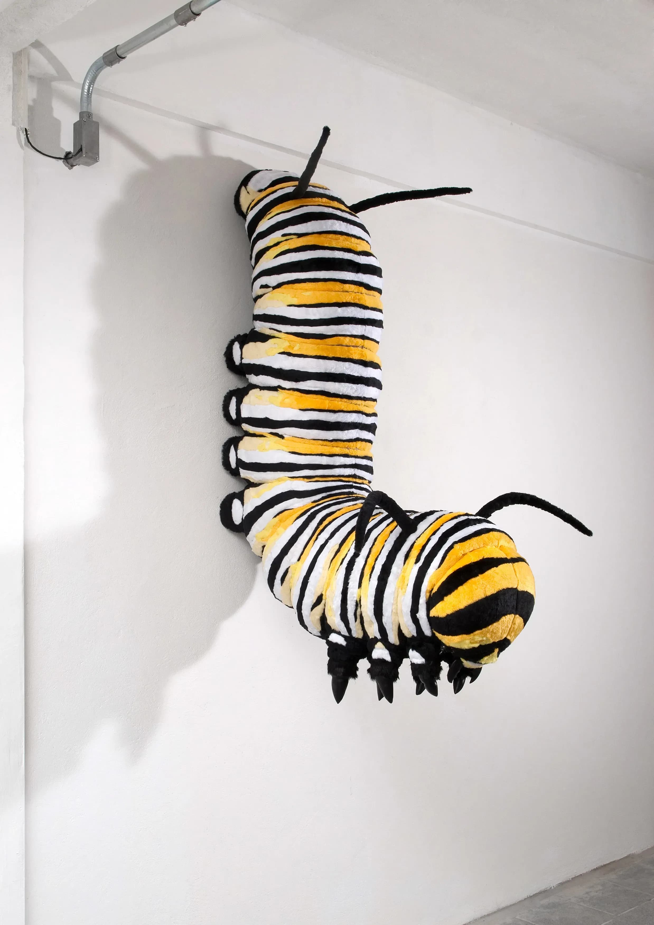Camille Kachani — Lagarta, 2009