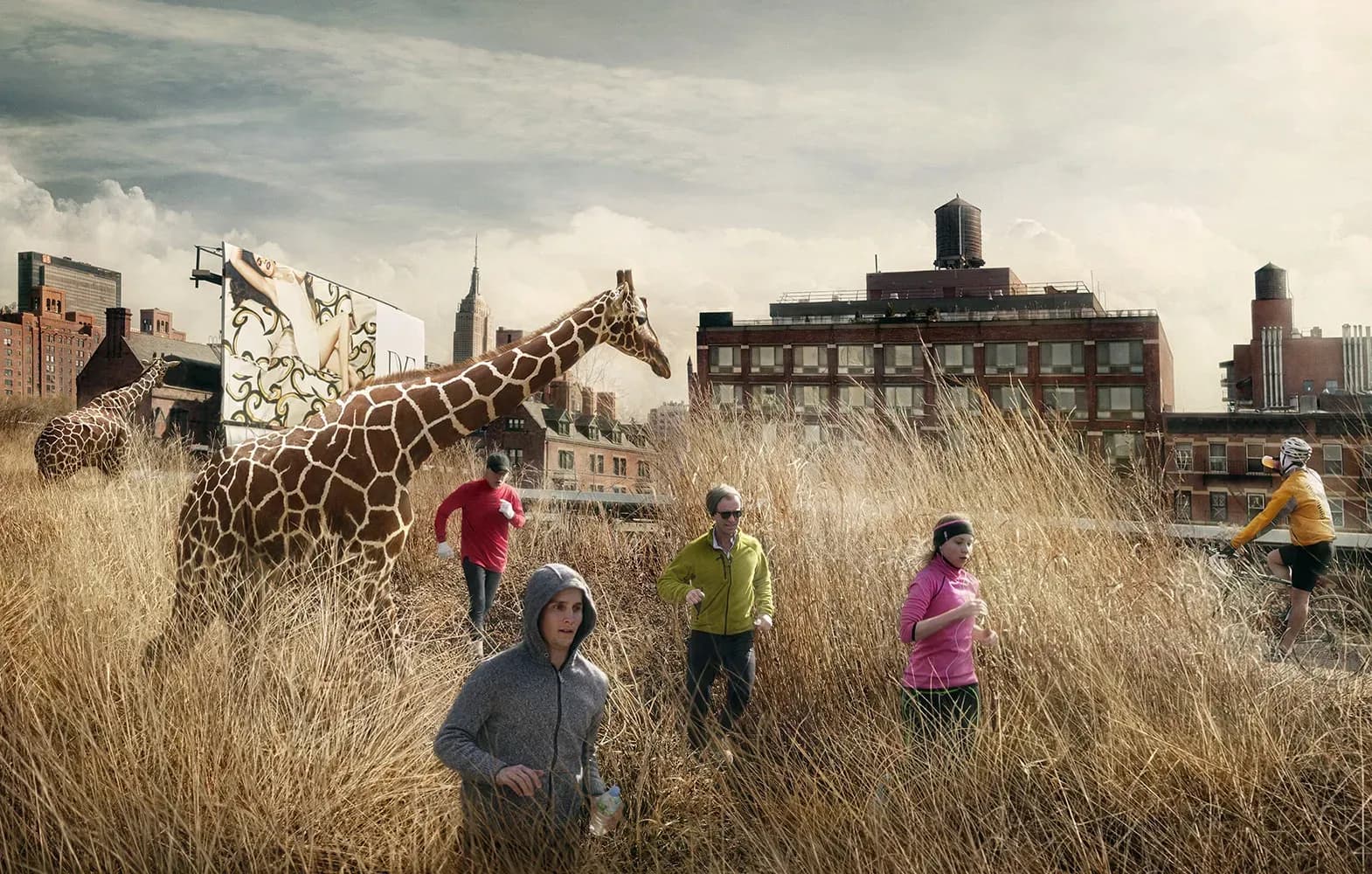 Marcelo Tinoco — High Line 1, 2012