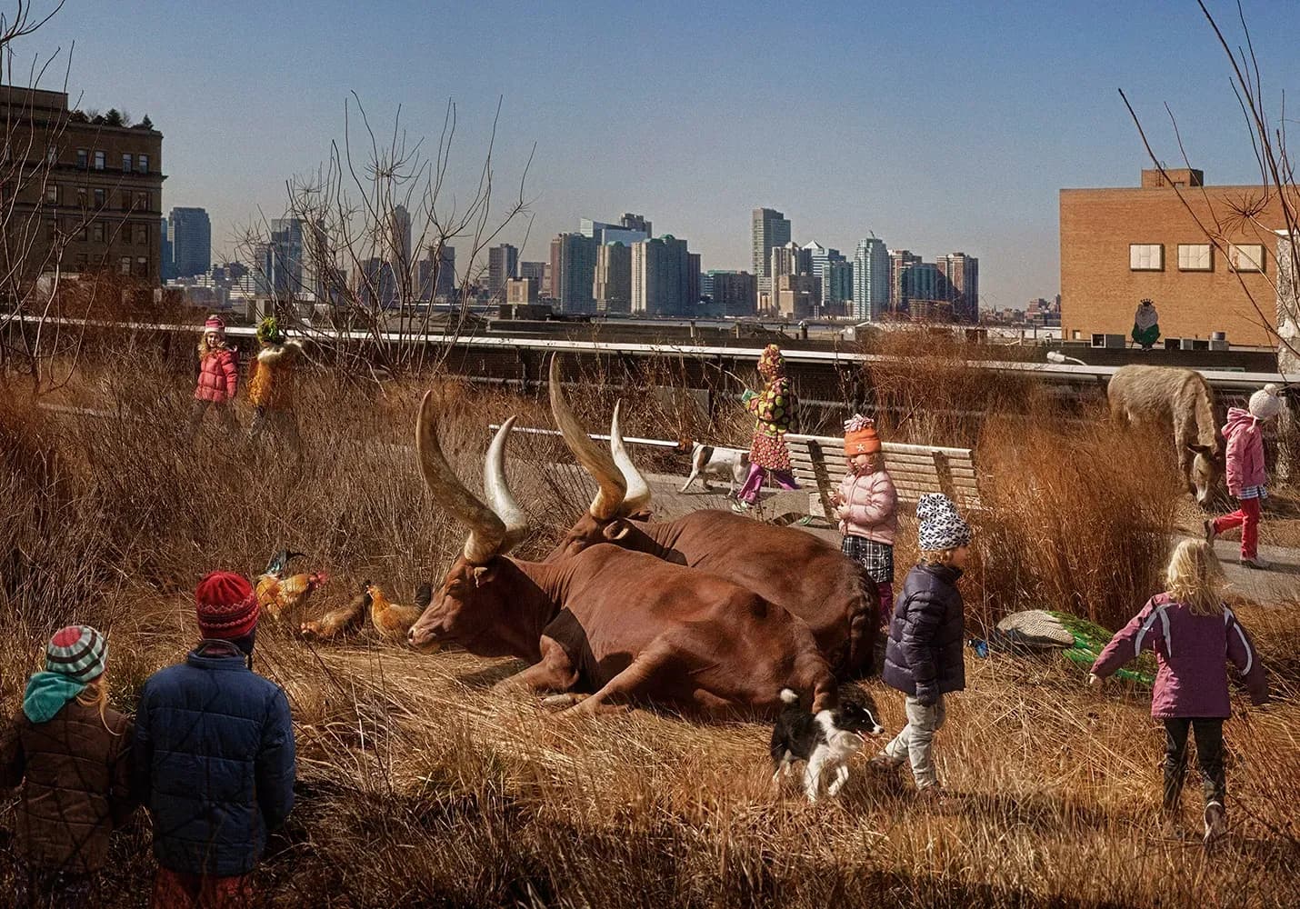 Marcelo Tinoco — High Line 2, 2012