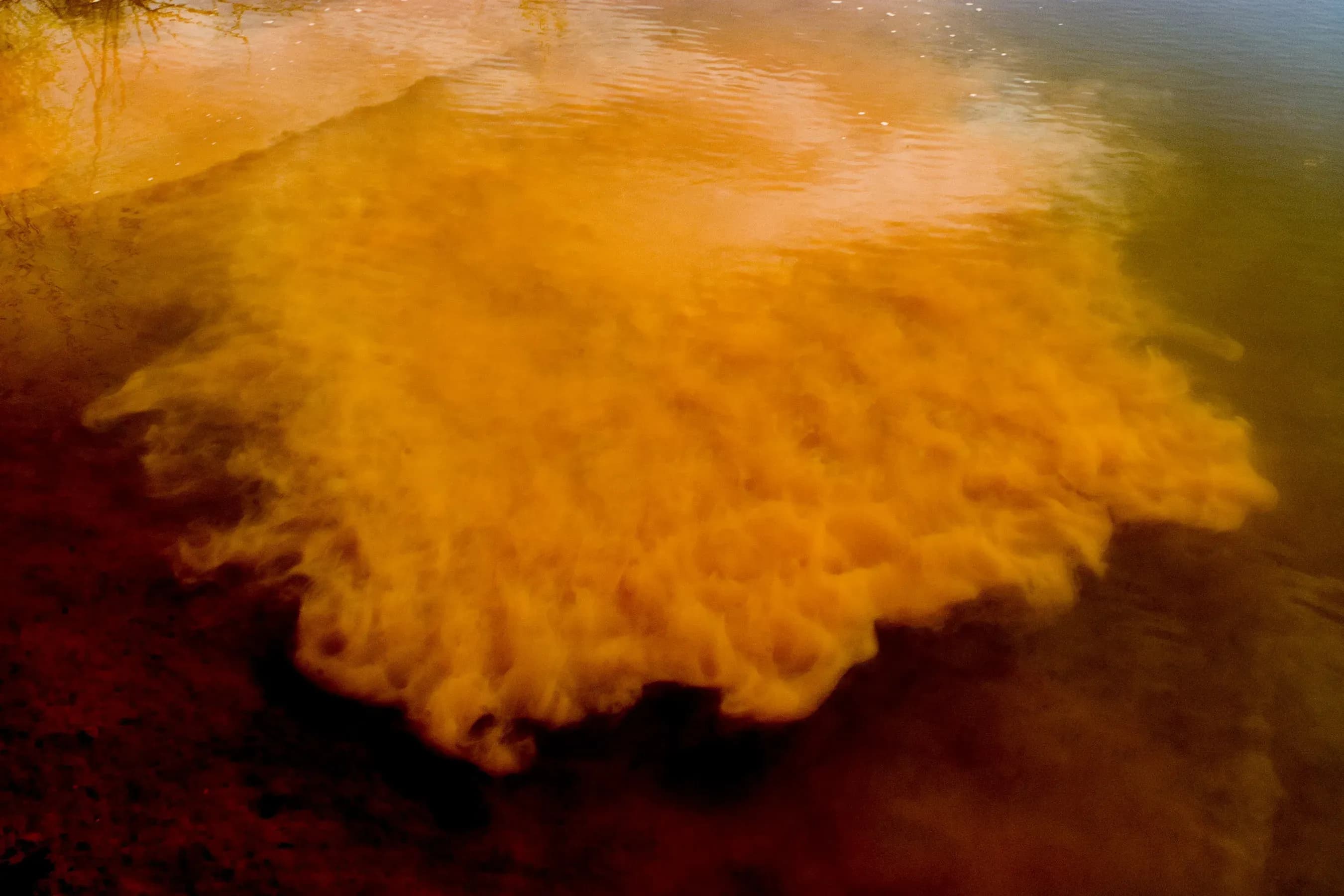 João Castilho — Sem título, 2006
