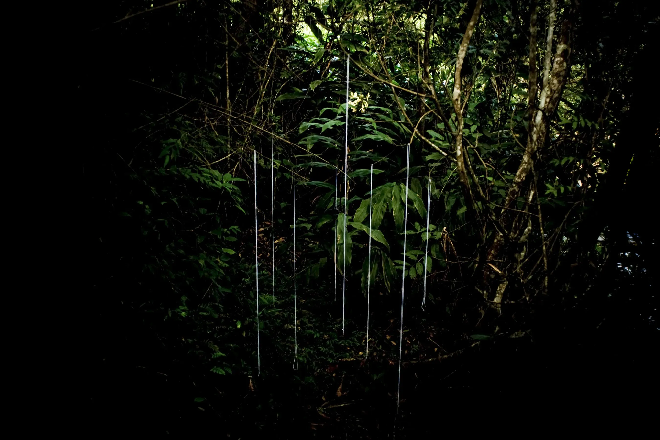 João Castilho — Sem título, 2008