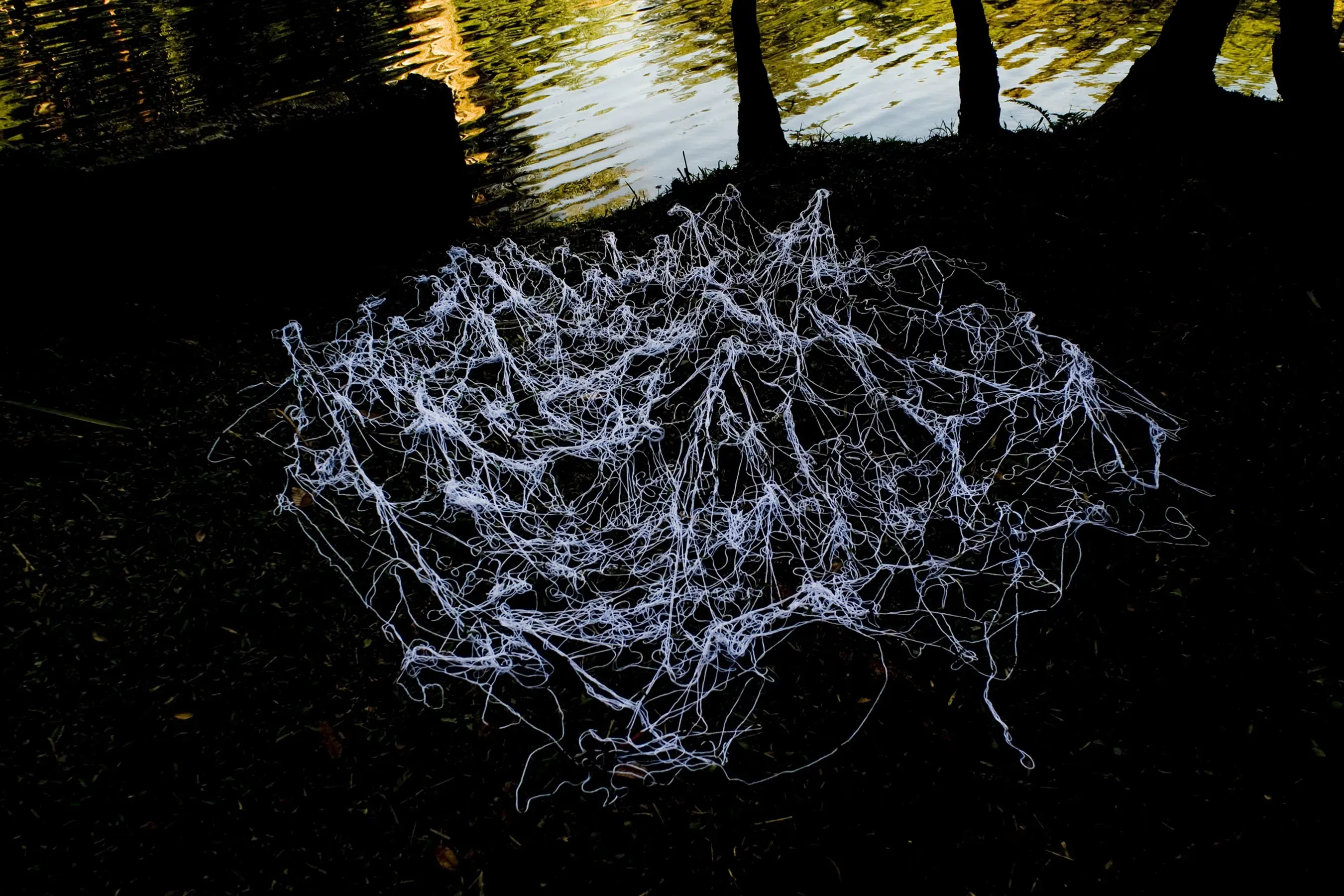 João Castilho — Sem título, 2008