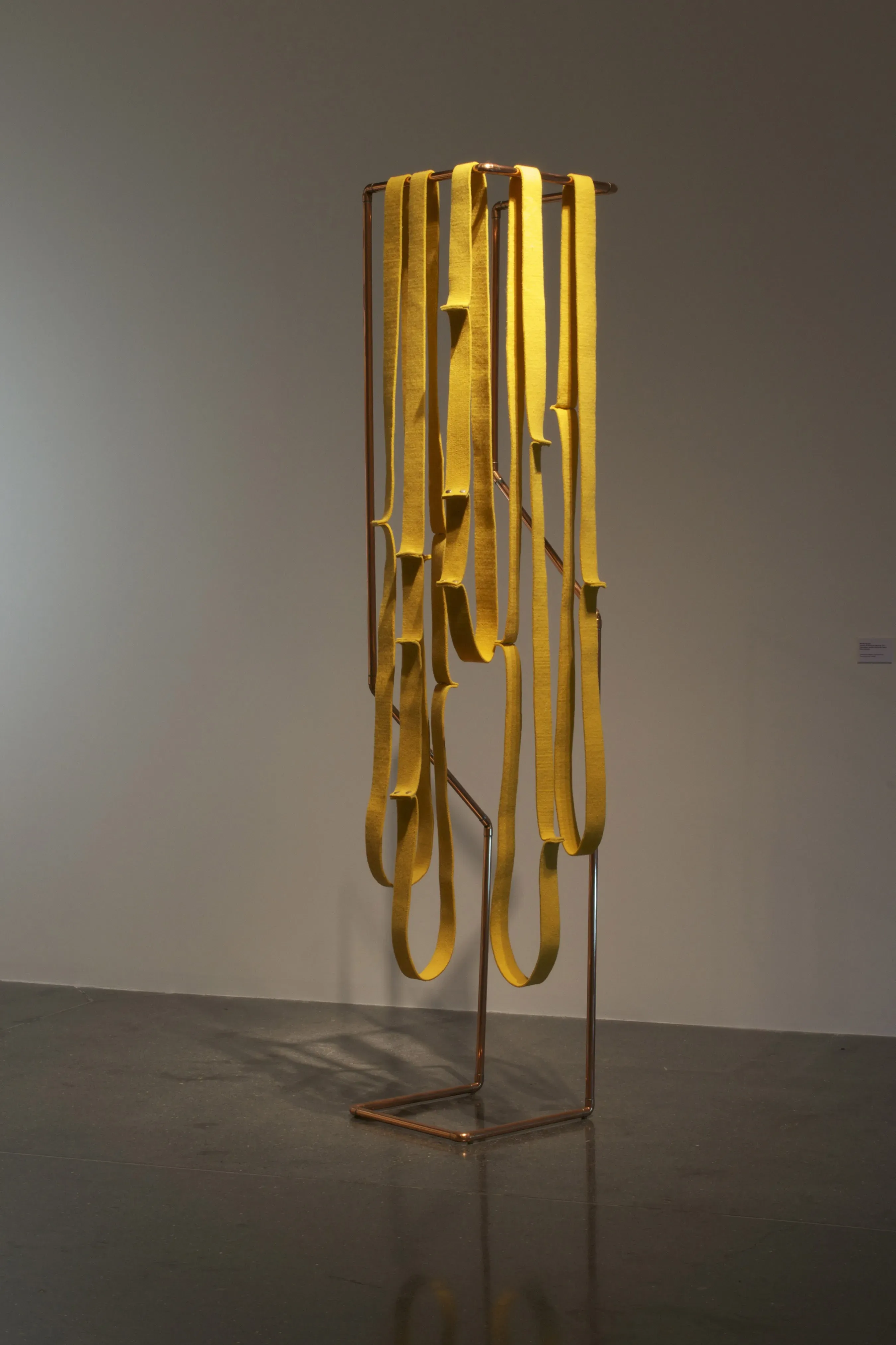 Ricardo Rendón — Circuitos de Iluminación (Newton), 2011