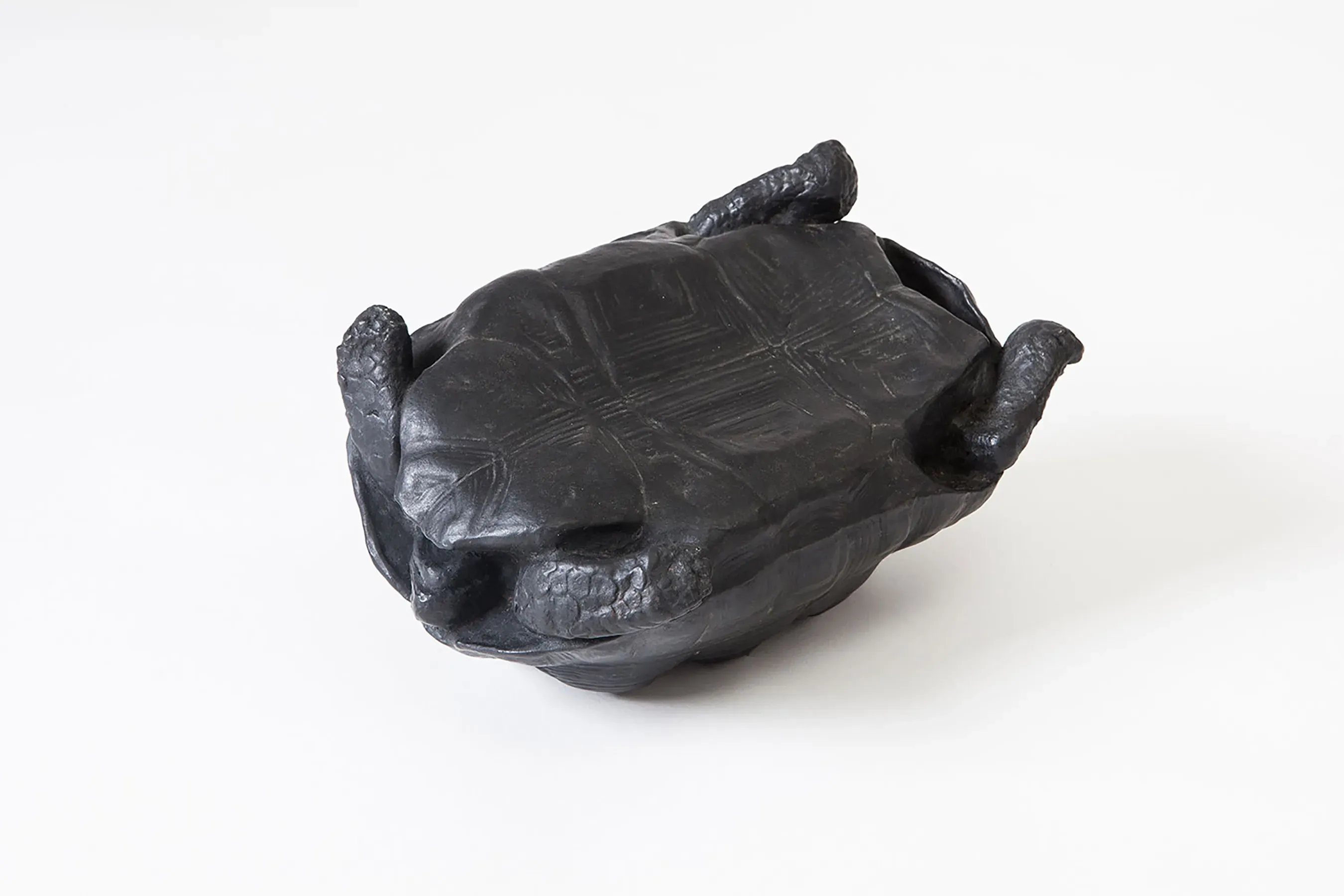 João Castilho — Irreversível, 2015