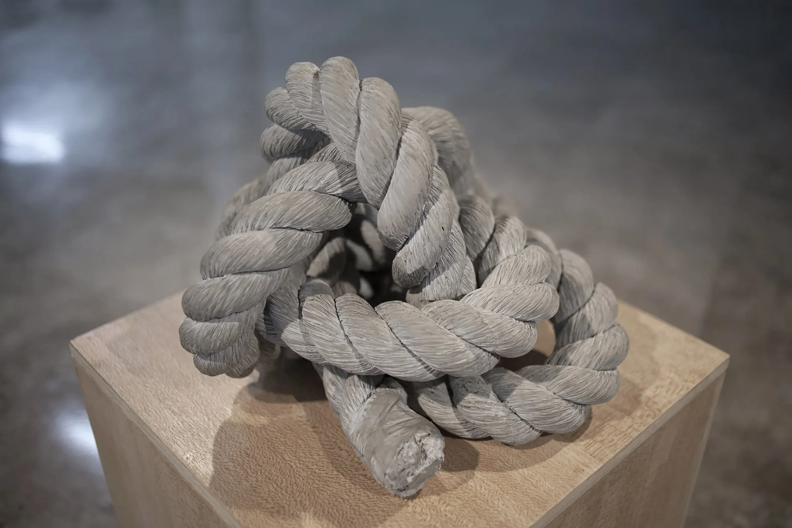 João Castilho — Embaraço I, 2016