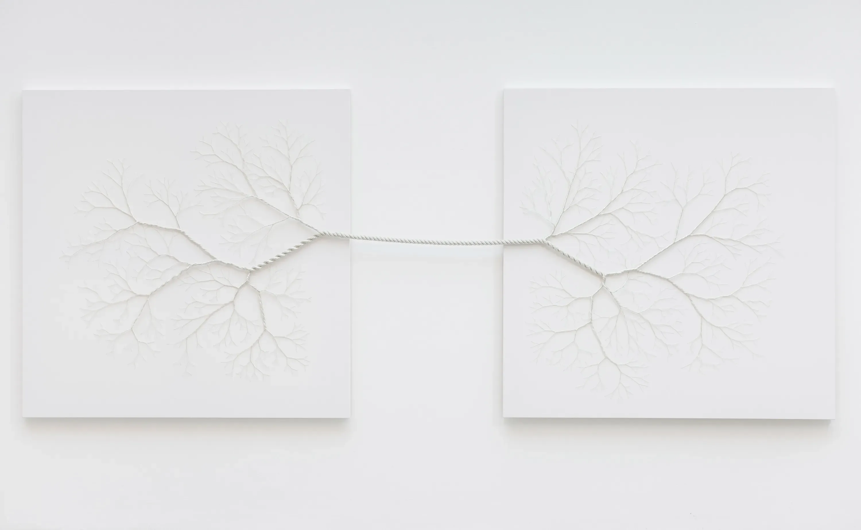 Janaina Mello Landini — Ciclotrama 41 (universos paralelos), 2016