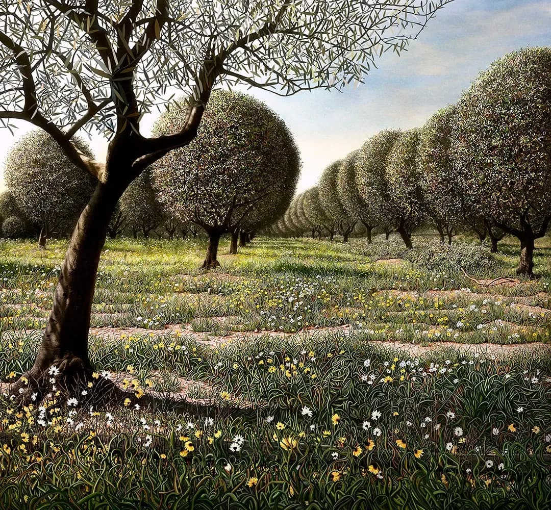 Marcelo Tinoco — Olive, 2017