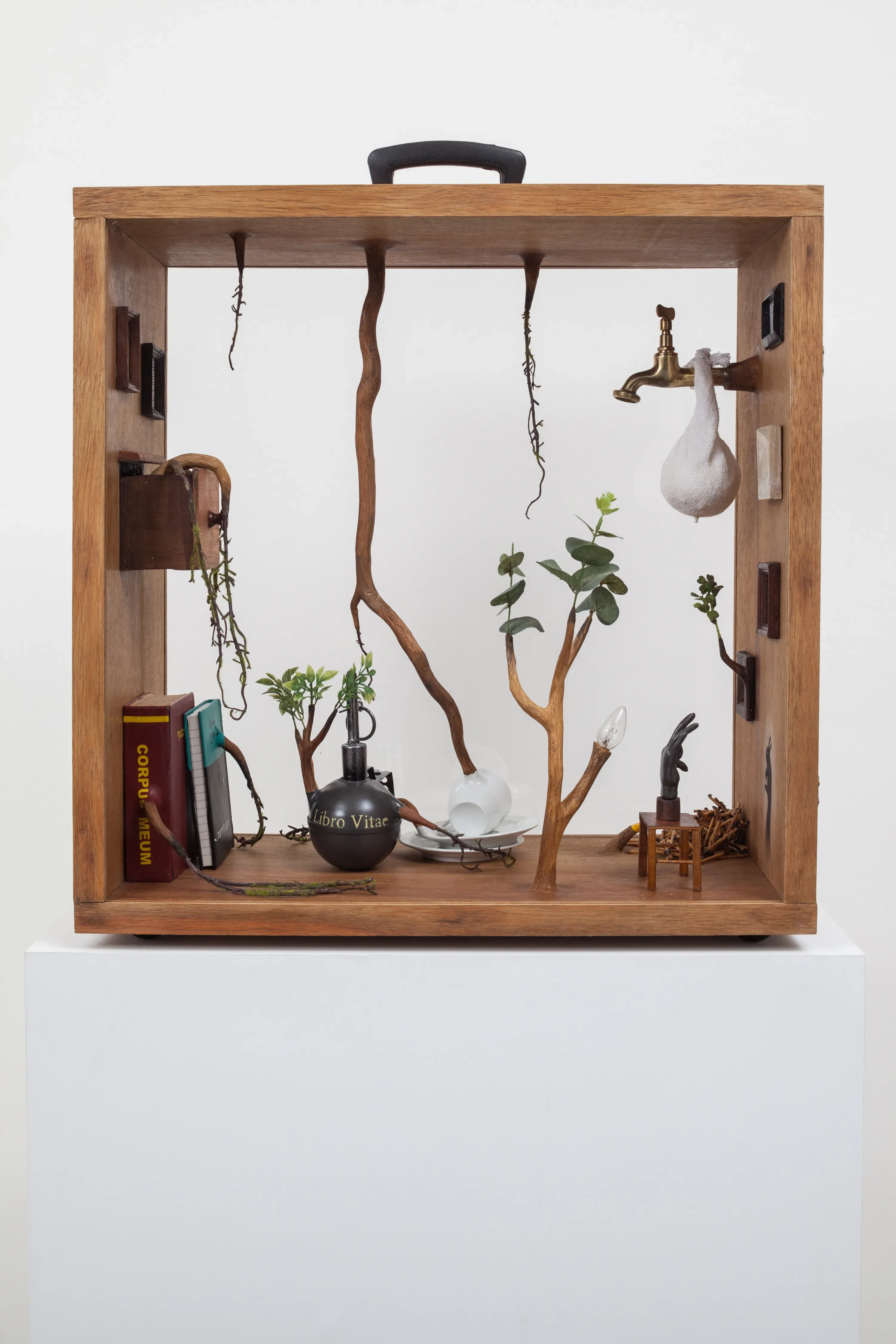 Camille Kachani — Sem título, 2017